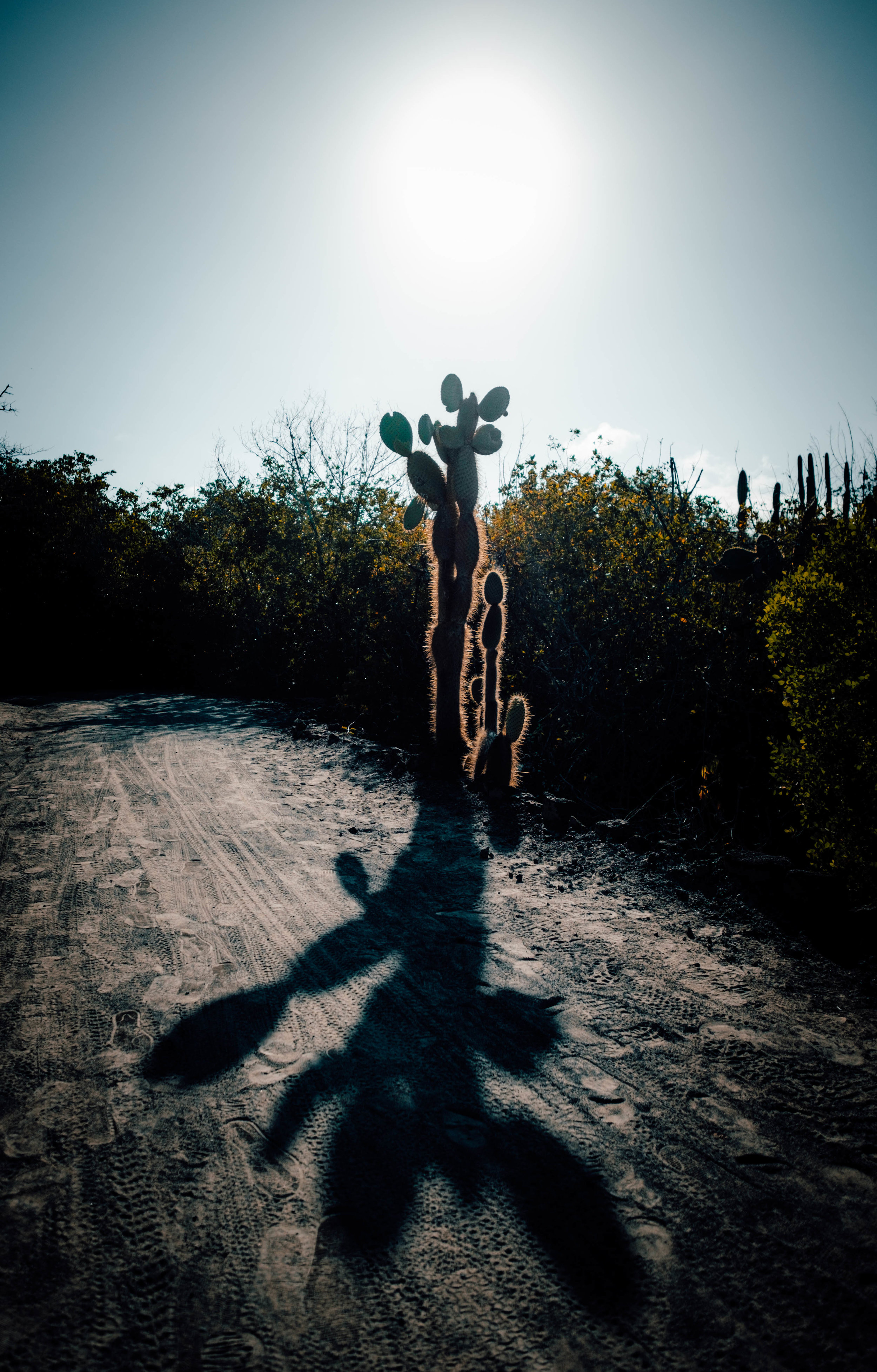 untitled-52.jpg