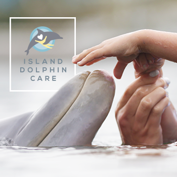 Copy of Island Dolphin Care