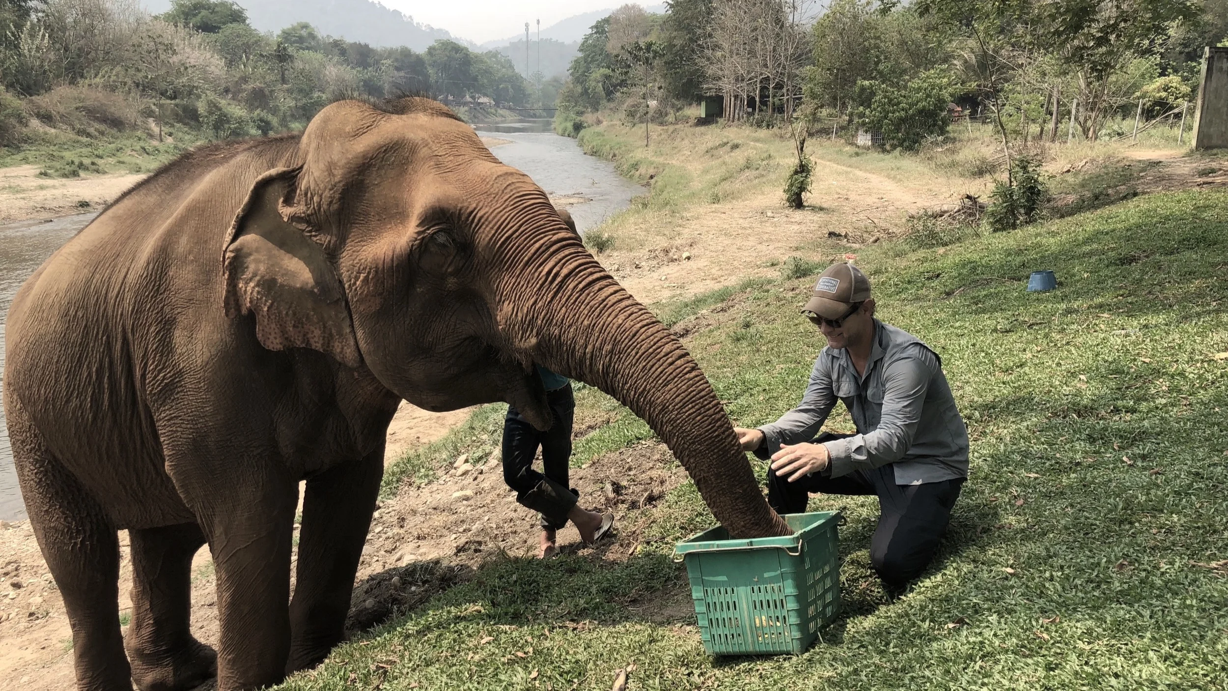 Chris Jaymes // Elephant Nature Park, Thailand