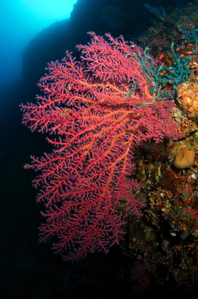 image12.jpg