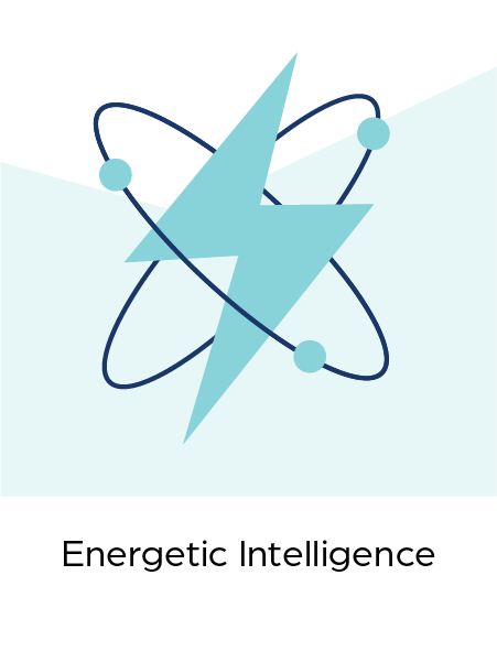 9Q_Energetic-Intelligence-T.png