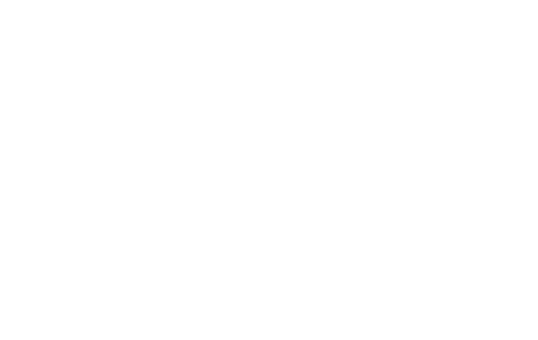 The Association CEO Handbook 