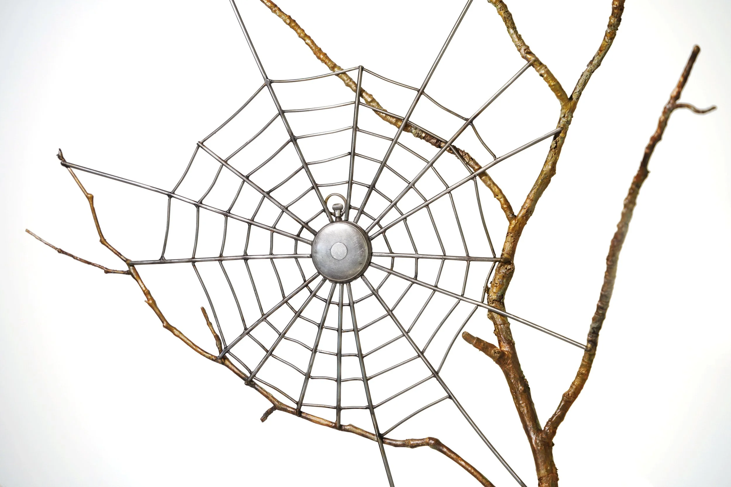 *TIGHTROPE OF TIME CLOSE UP BACK.jpg