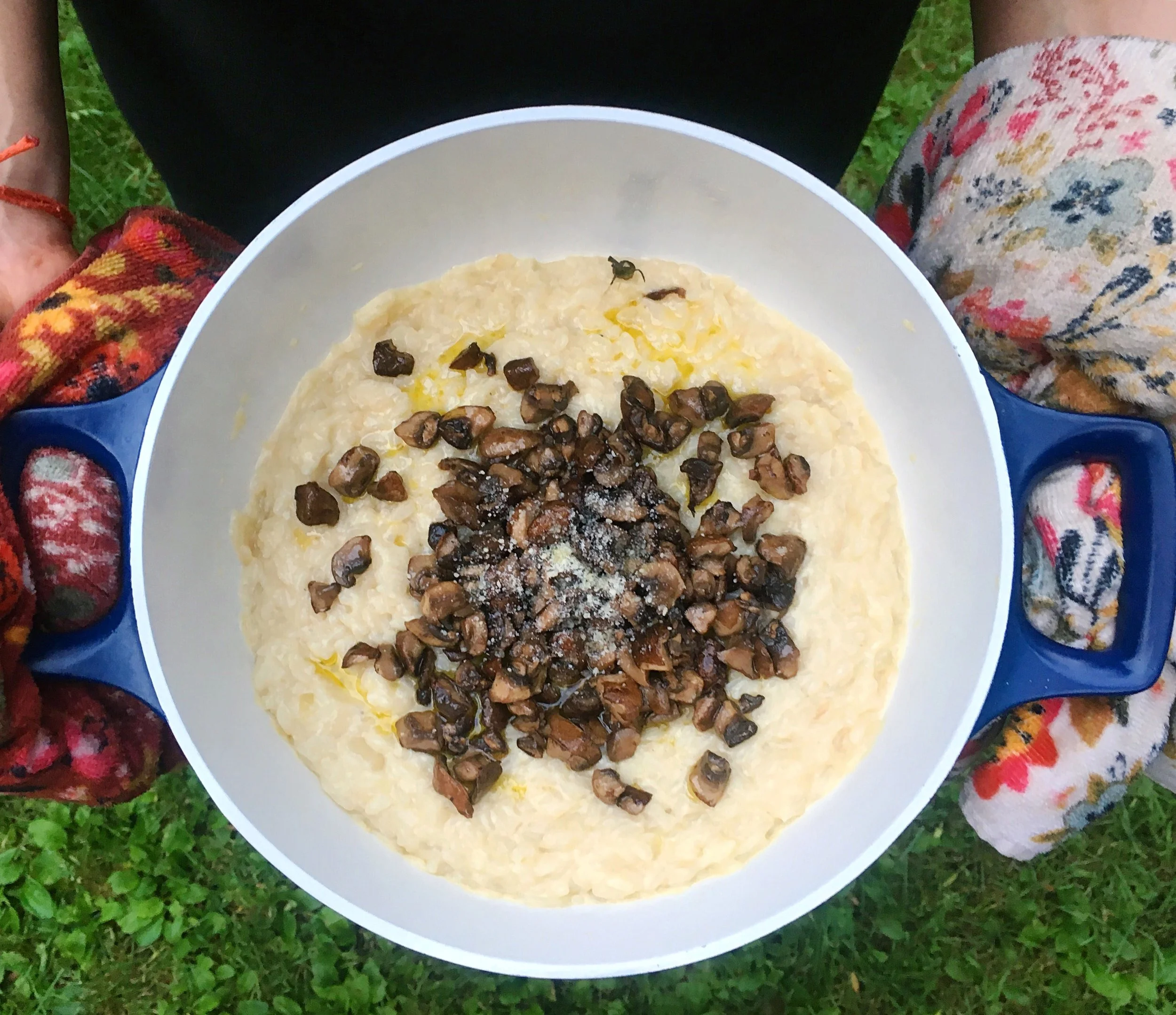 Mushroom Risotto