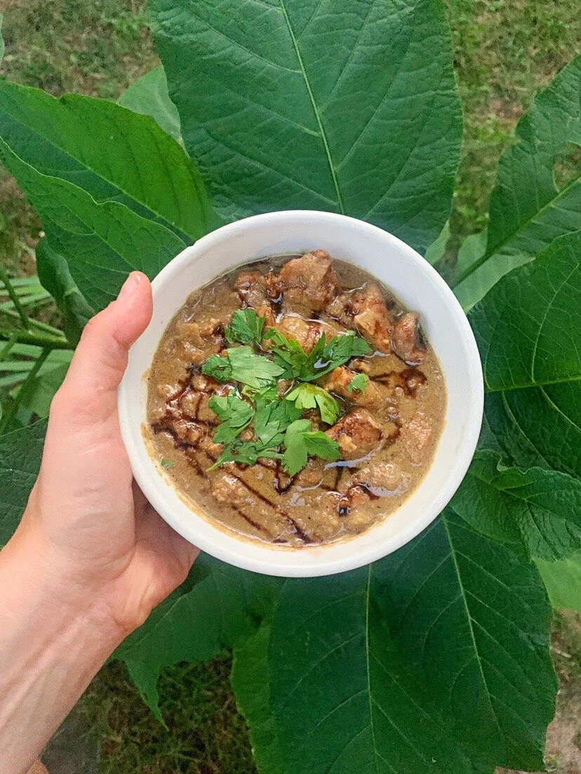 Chicken Fesenjan 