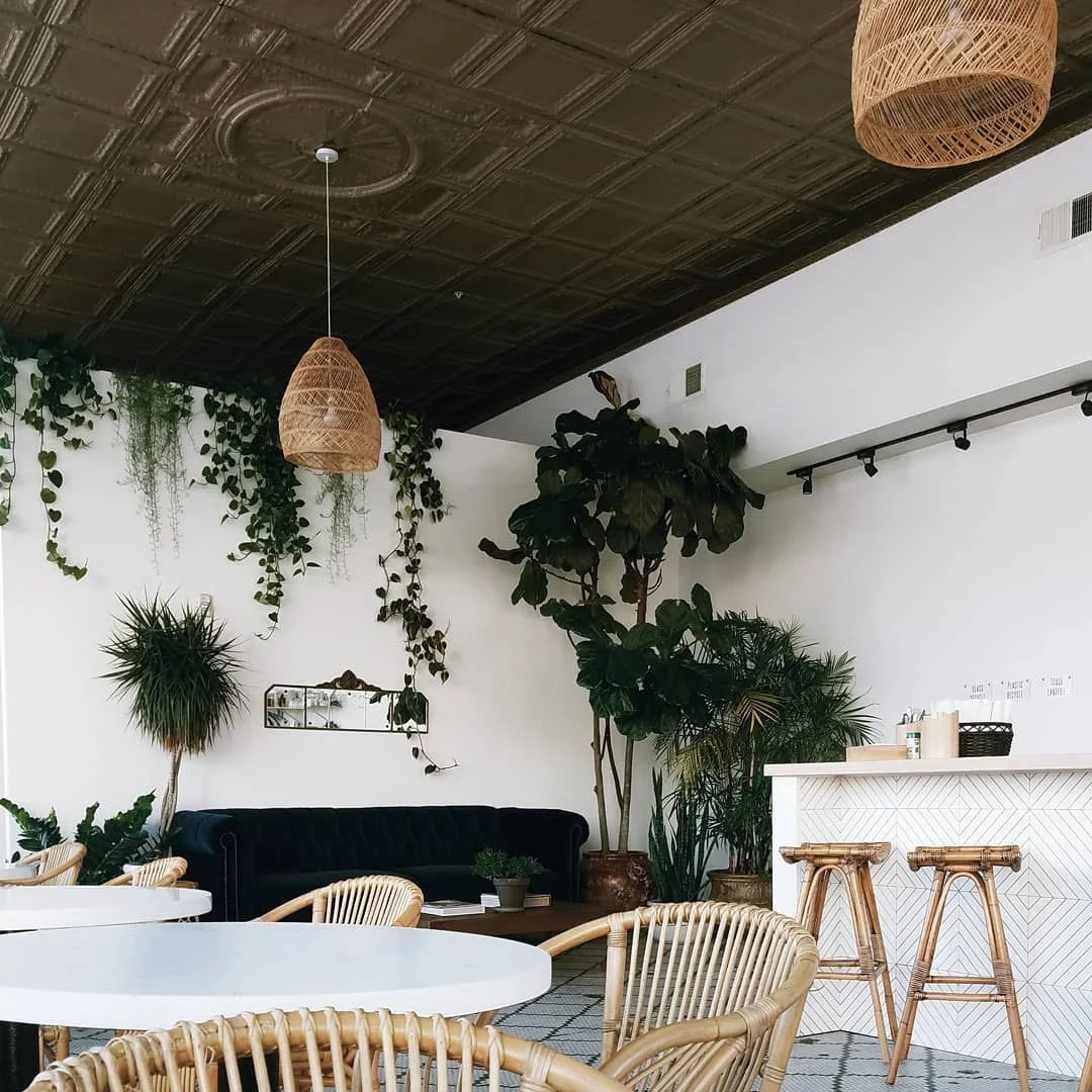 Plants in coffee shop 🌿.jpeg