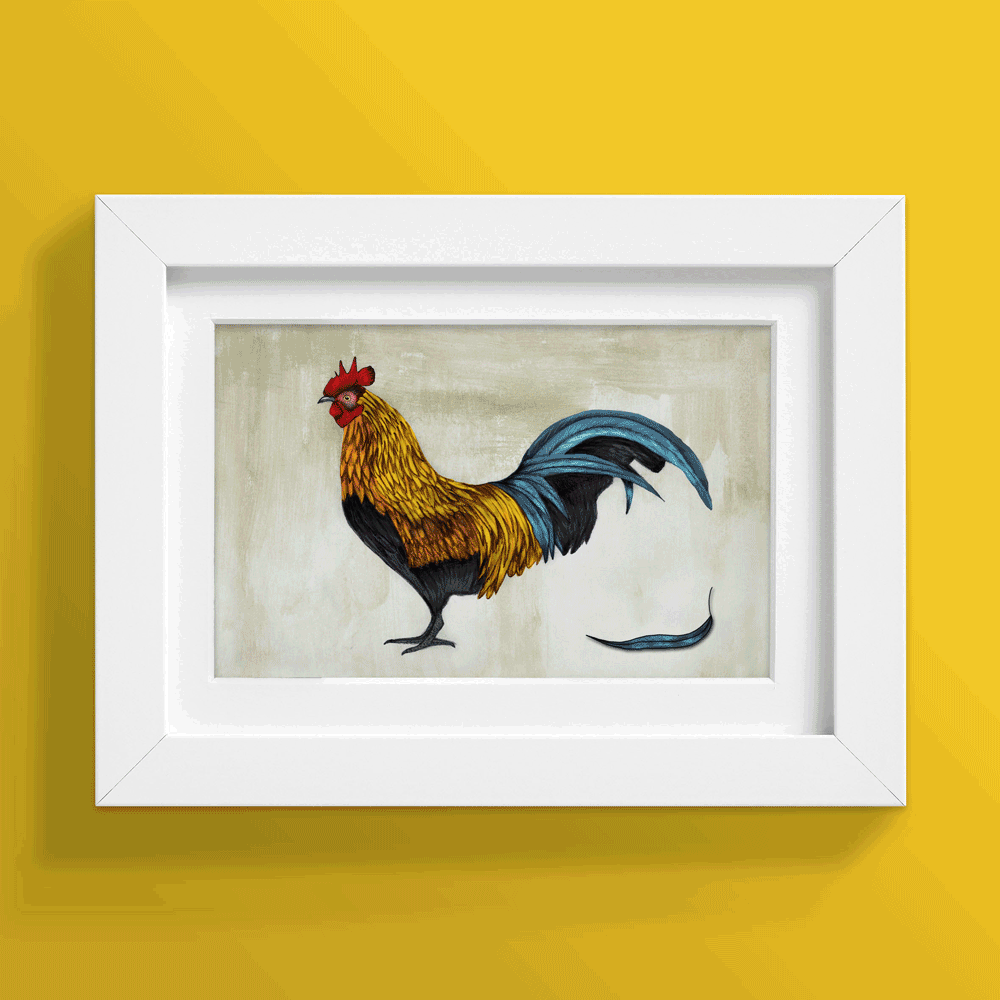 ROOSTER-animation.gif