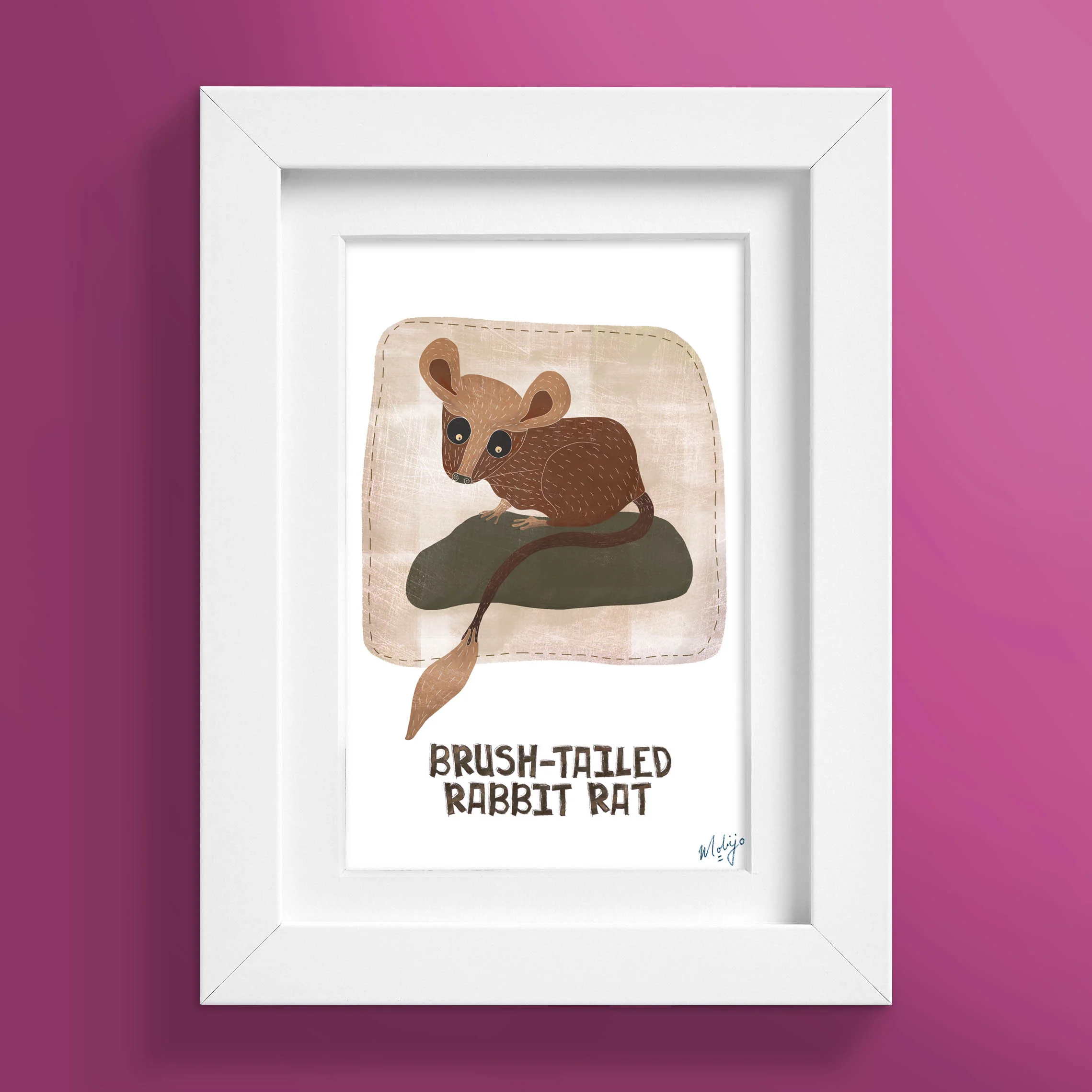 A4 Print Brush-Tailed Rabbit Rat