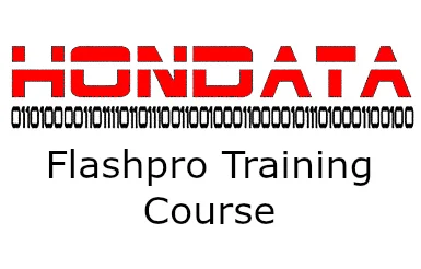 Flashpro training copy.jpg