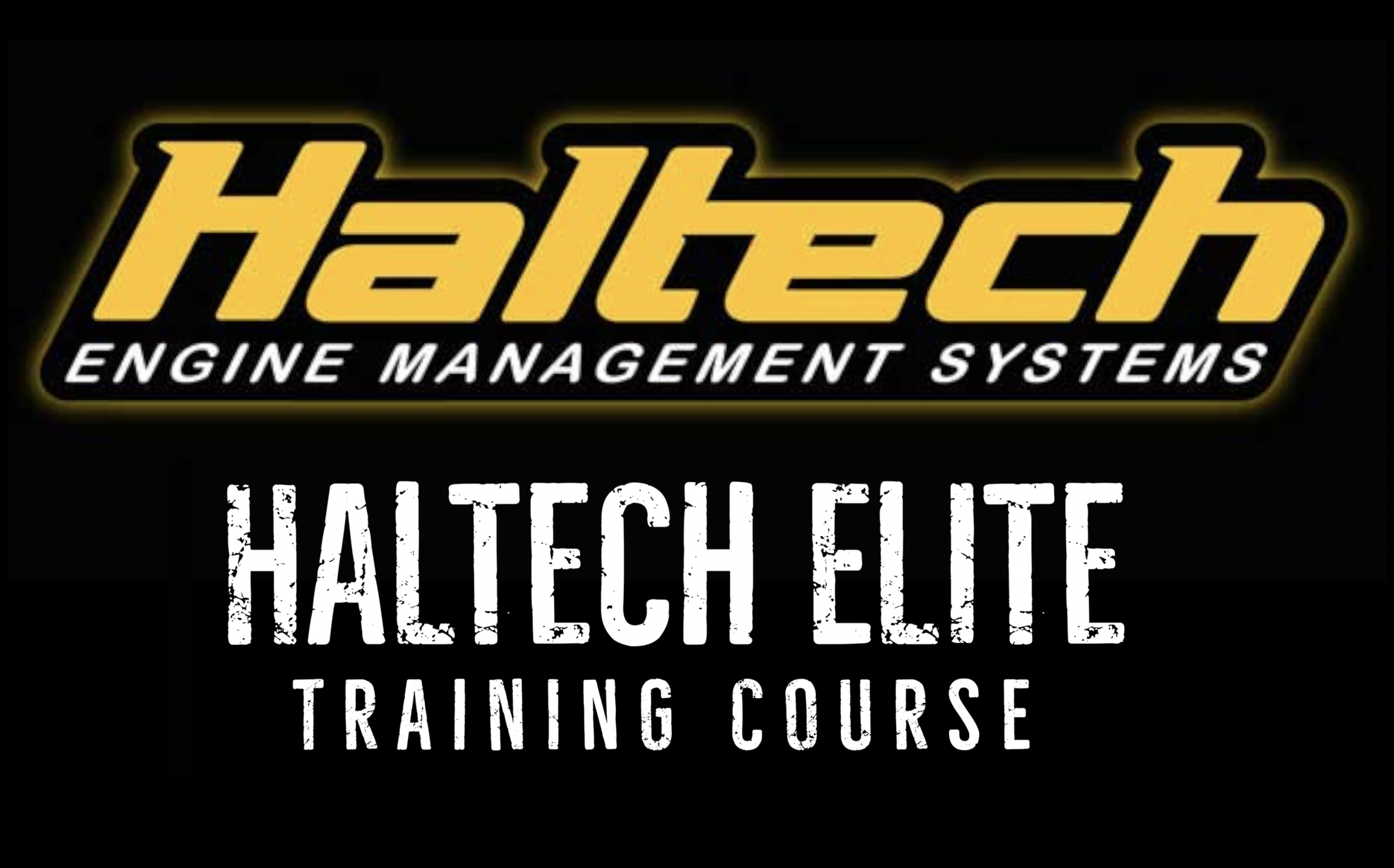 Haltech Elite .png