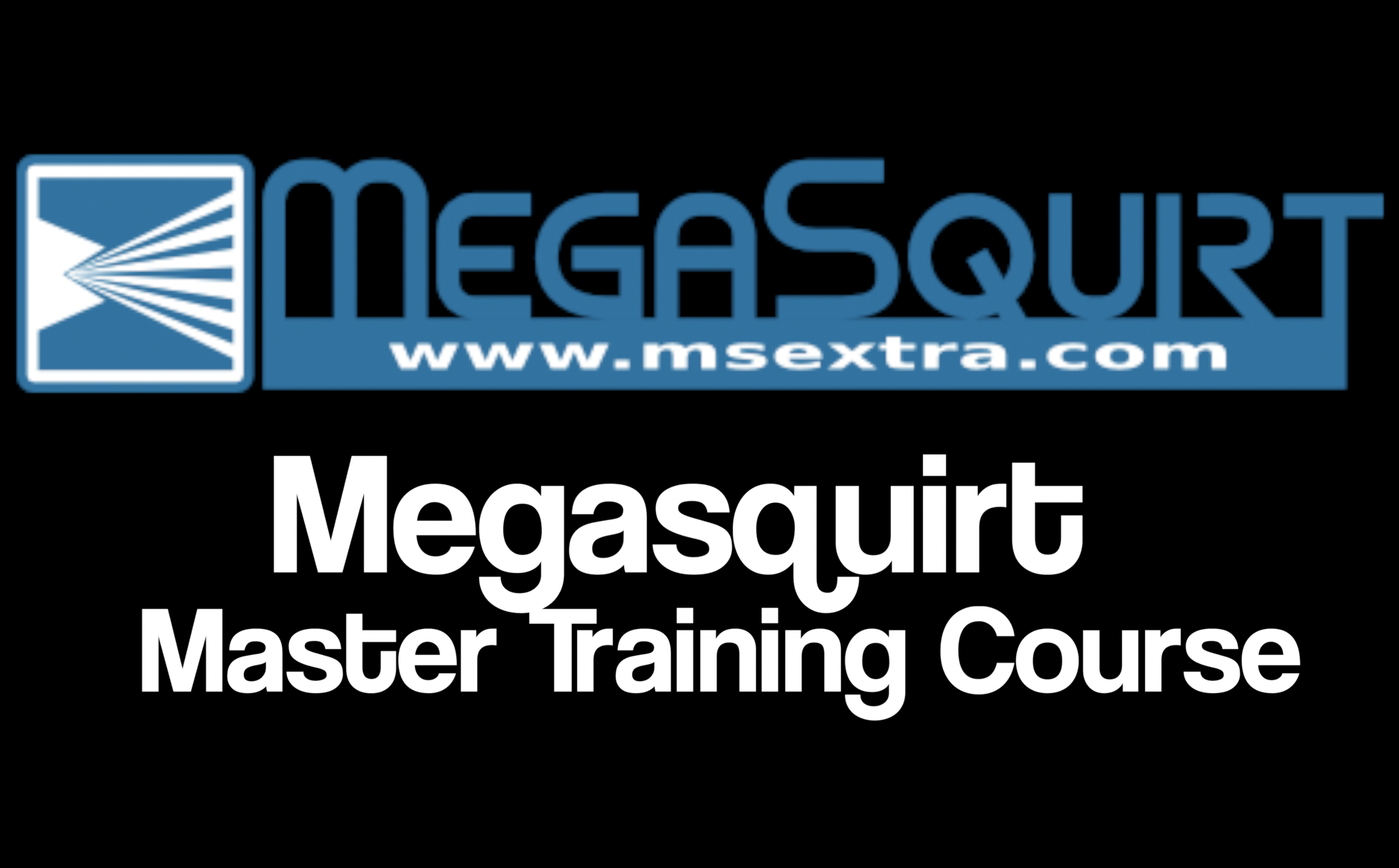 MS Master .png