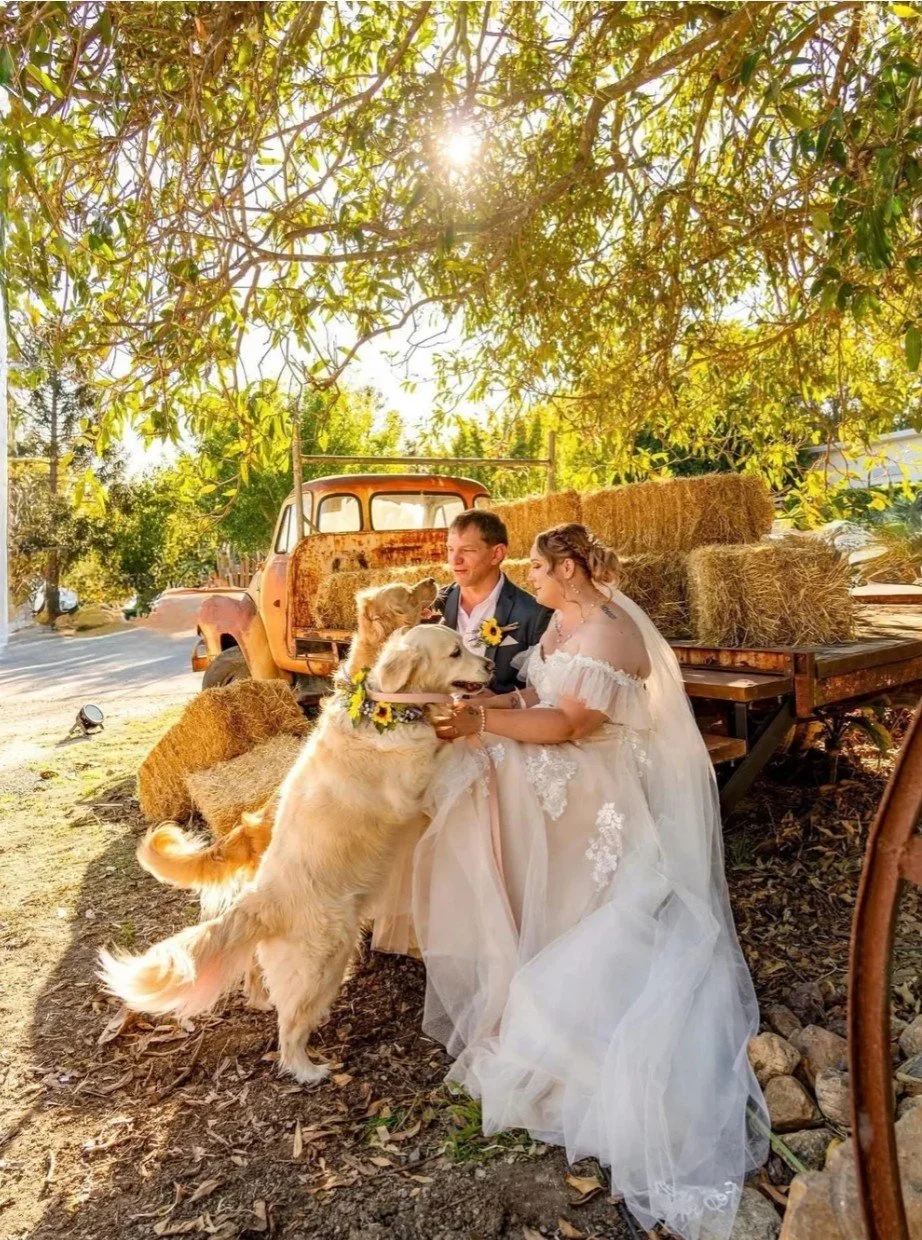Element Events Wedding Venue_Pet Friendly Wedding Venue Brisbane.jpg