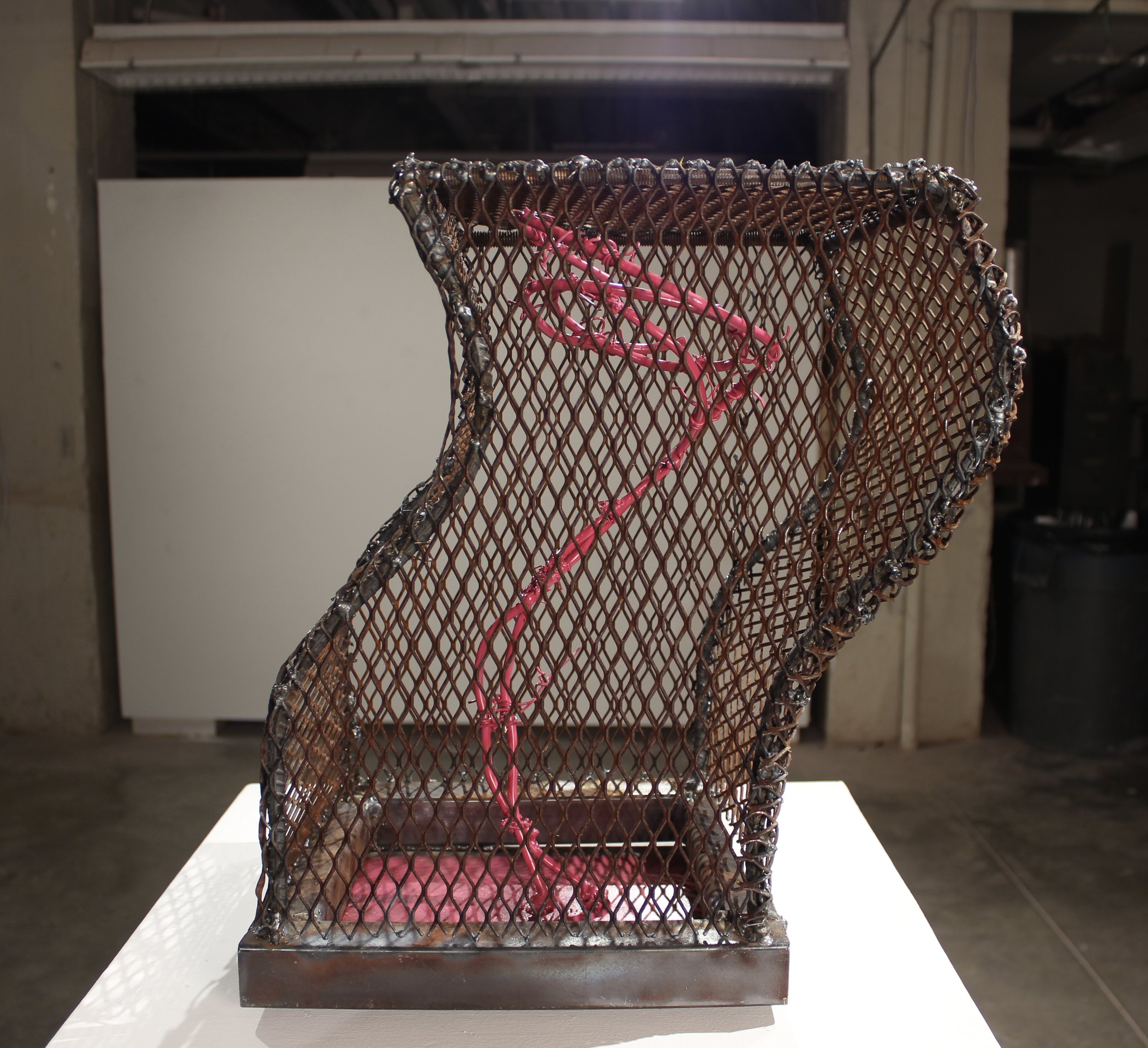 Entrapped, 2018, 18"x17"x10"