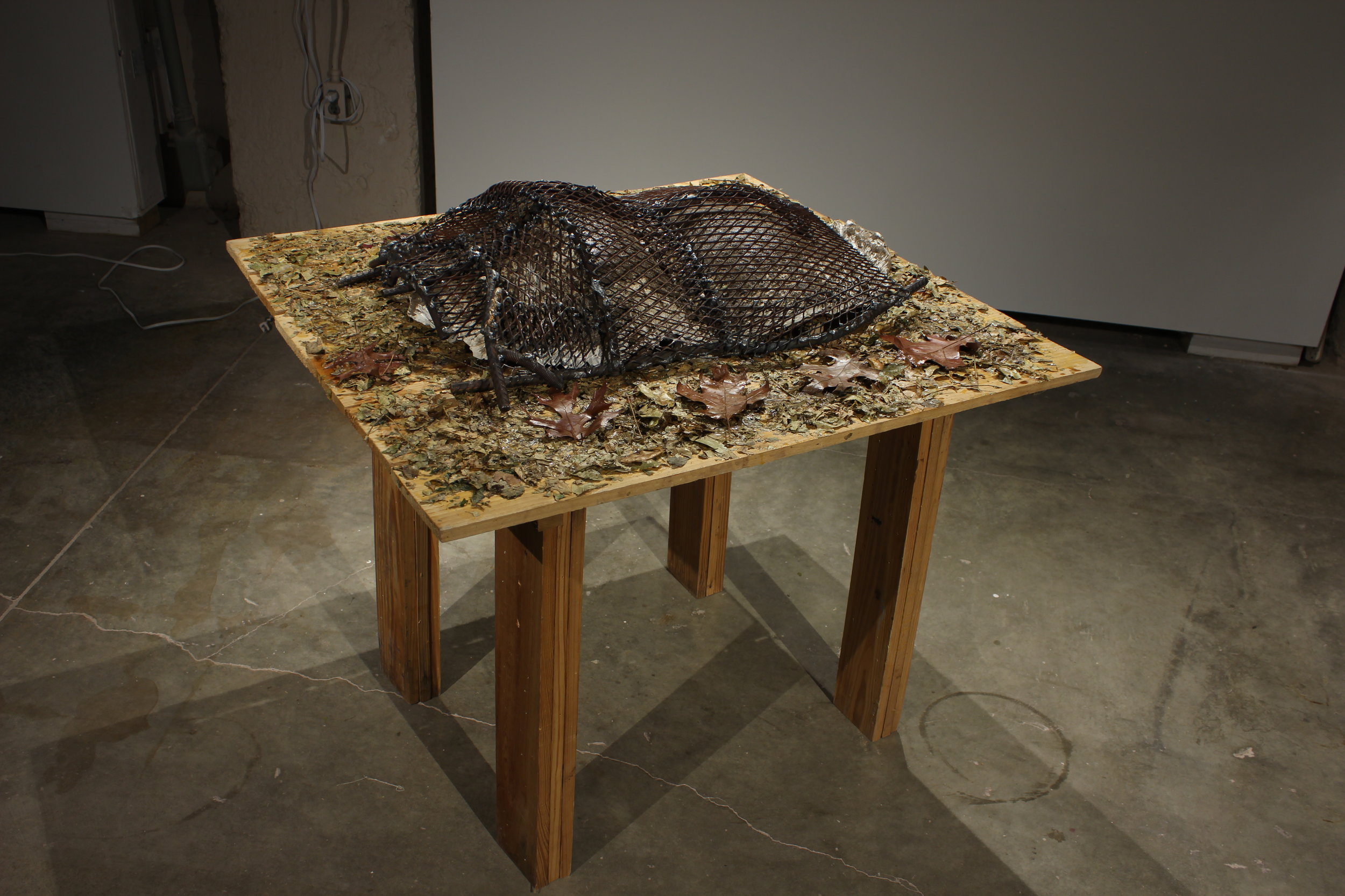 Feuillage, 2018, 25"x33"x35"