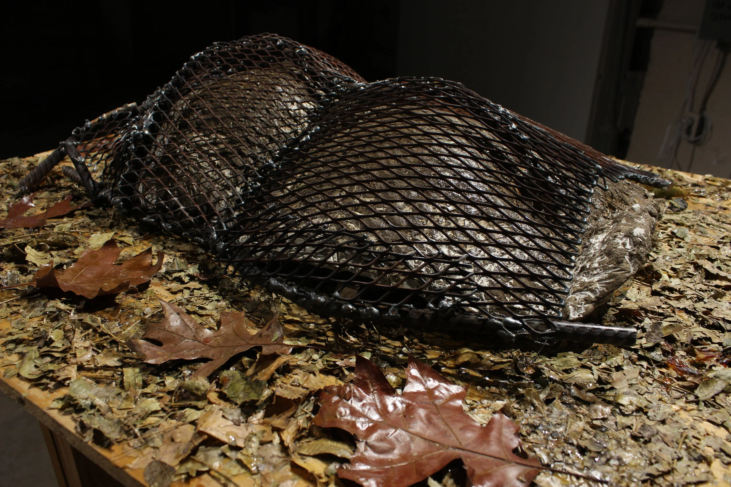 Feuillage, 2018, 25"x33"x35"