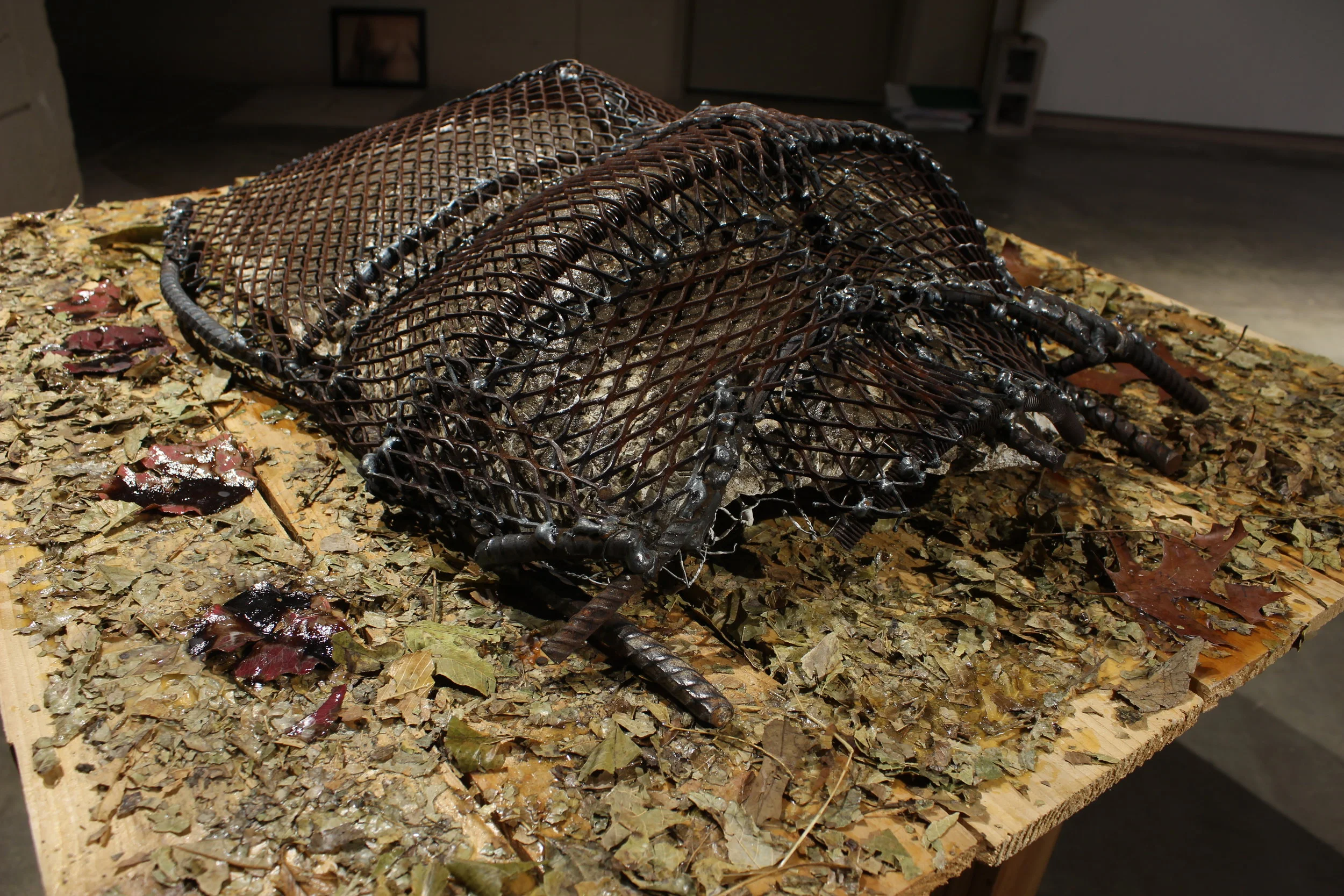 Feuillage, 2018, 25"x33"x35"