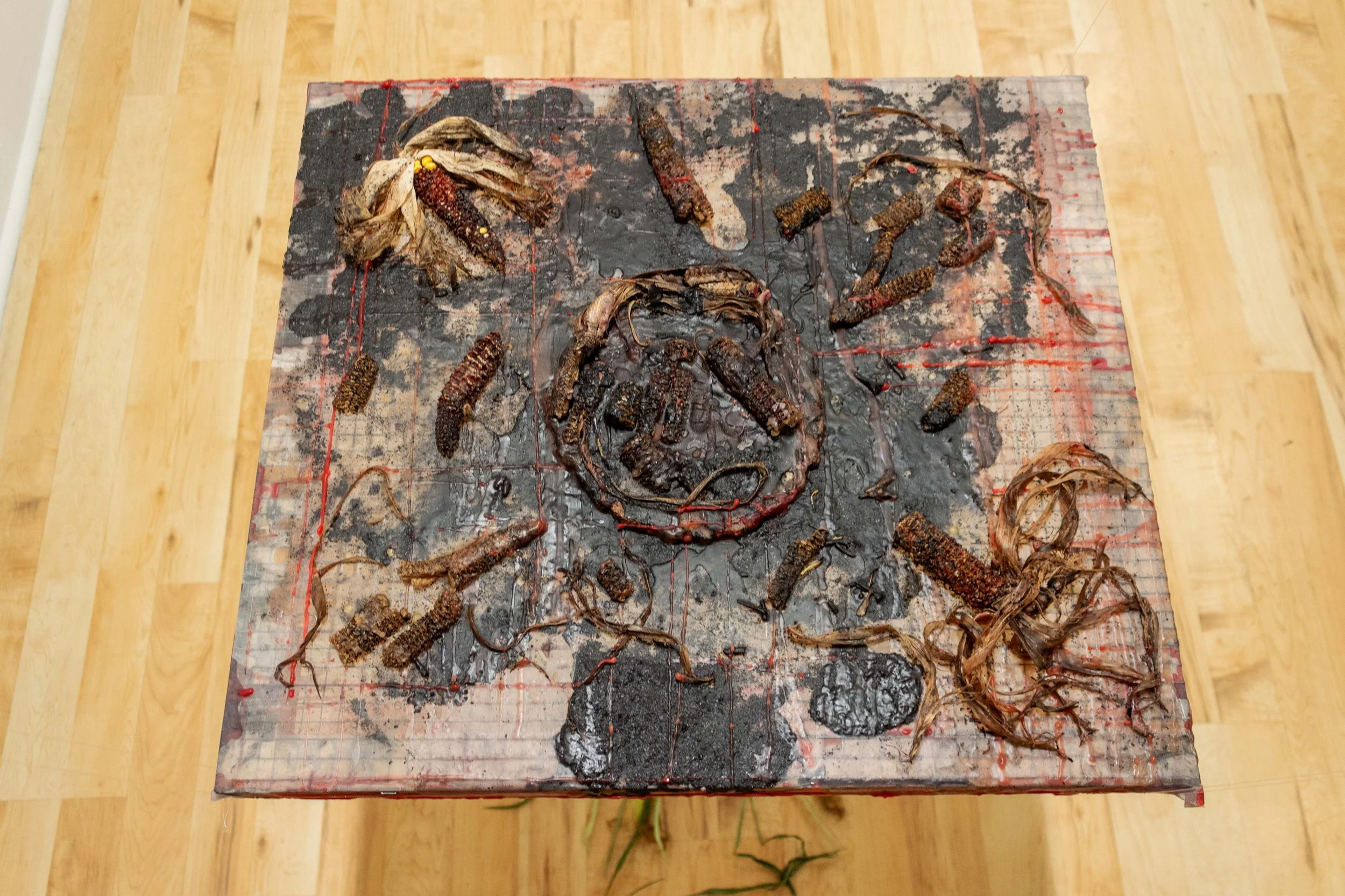 Maiz series work 1.jpg