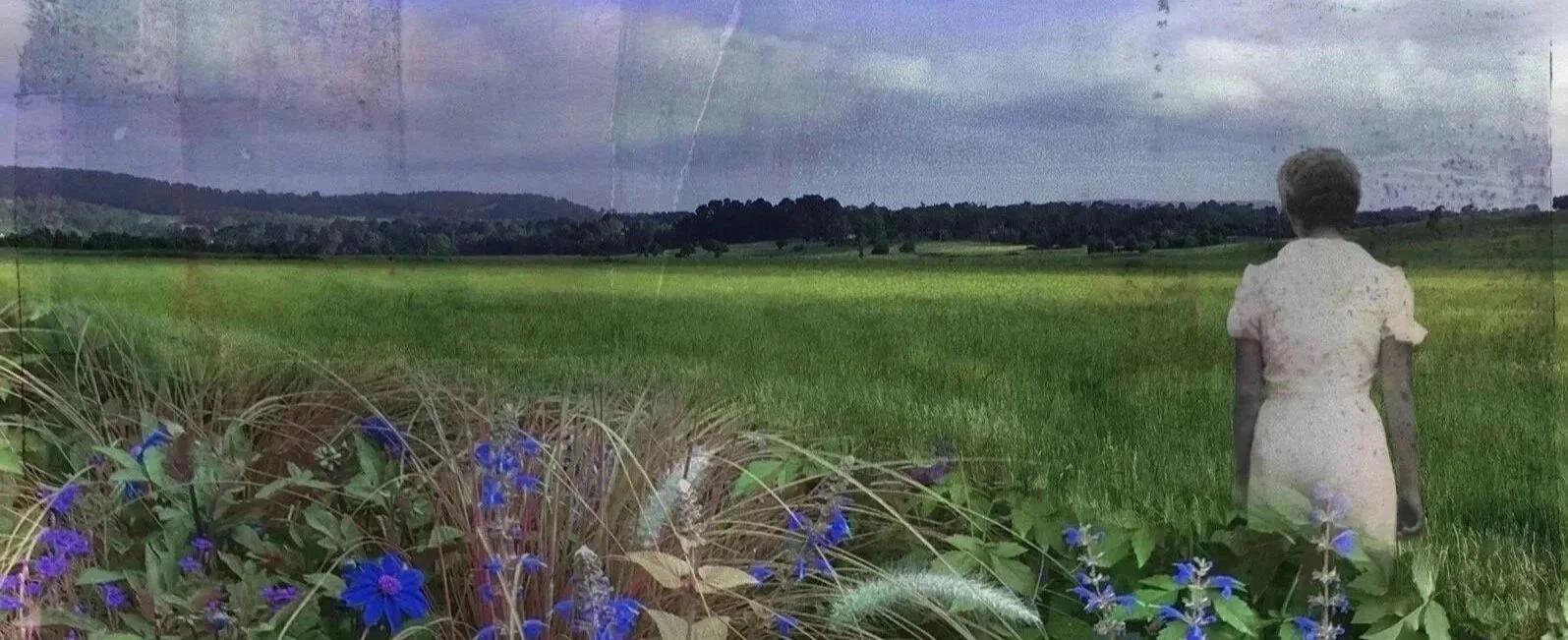 My Genealogy collage–white woman.jpg