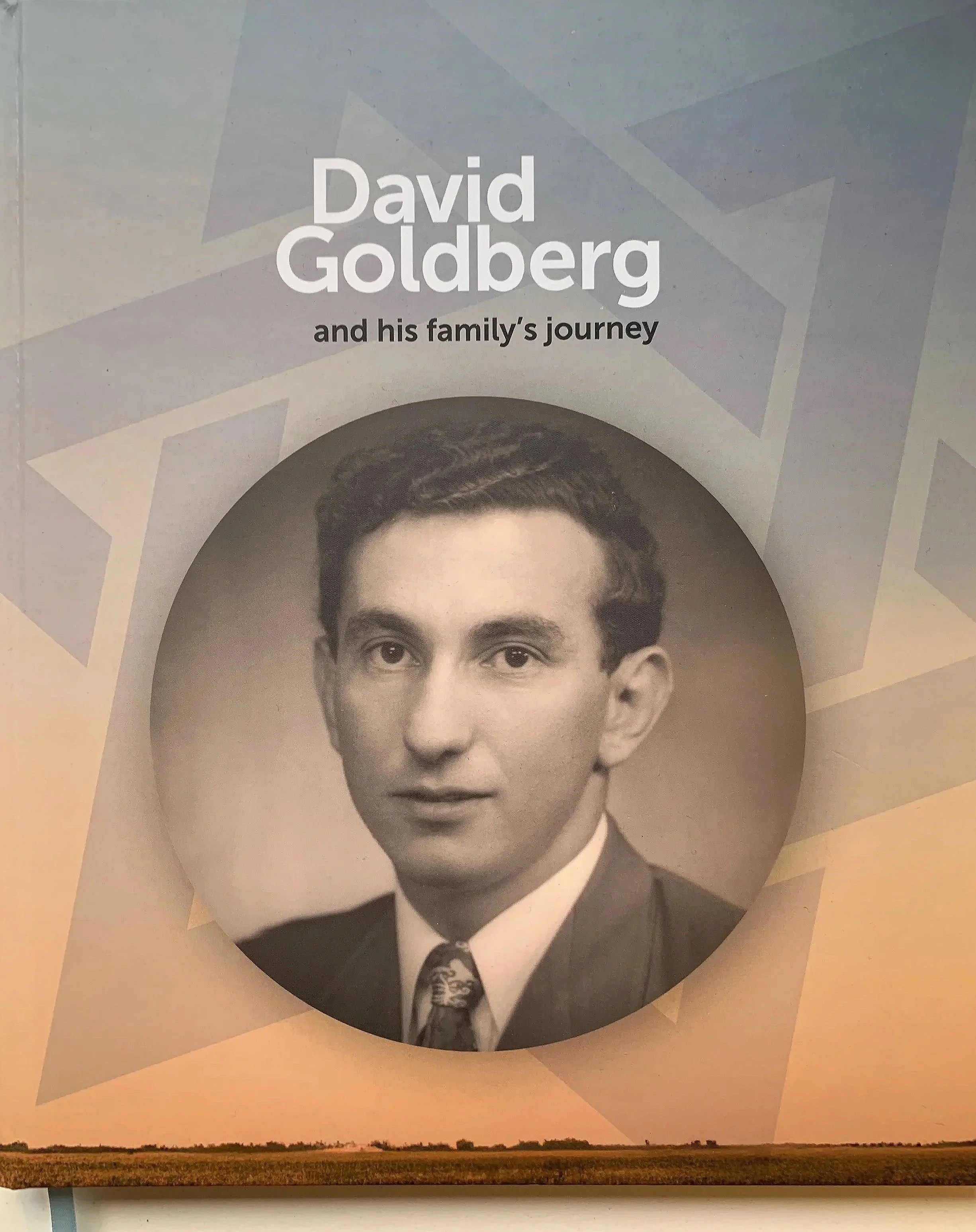 David Goldberg Memoir.jpg