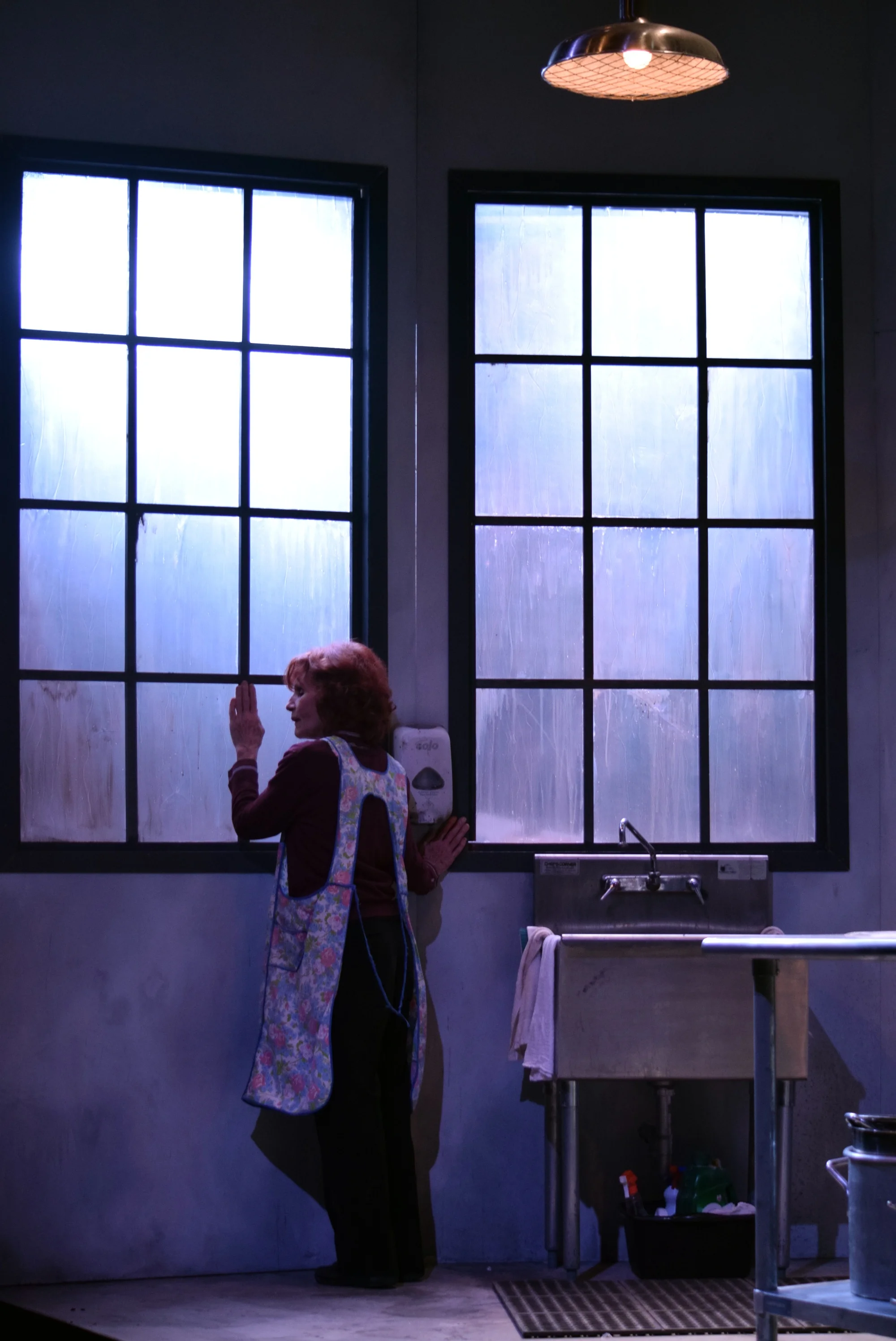 Apples in Winter at Centenary Stage Company, Hackettstown, NJ, directed by Mikaela Kafka and featuring Colleen Smith-Wallnau. Photo by Chris Young