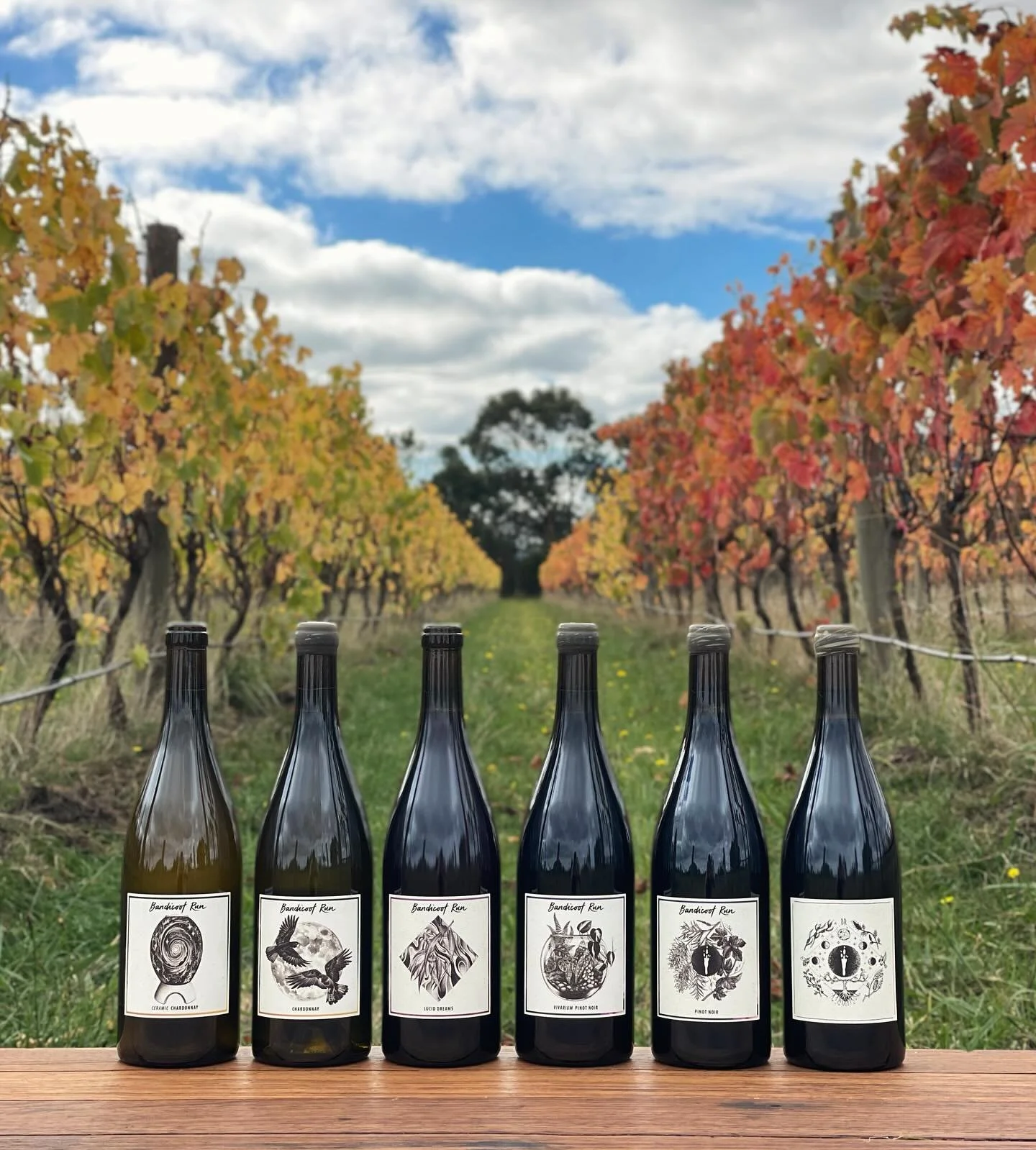 AUTUMN SIX PACK

We&rsquo;ve curated a hearty six-pack of some of our favorites as we transition into the cooler times ahead. Only 12 six-packs available at a special price of $220. 

Wines:

2023 Ceramic Chardonnay: a wine that will expand your perc