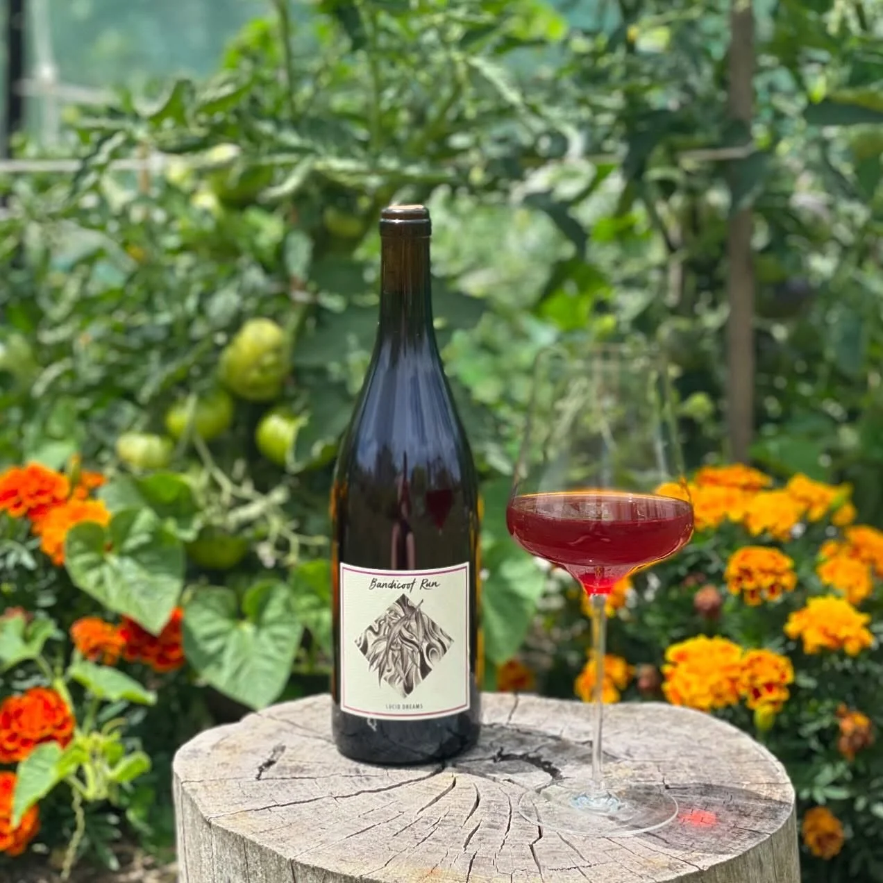 We&rsquo;ve come to that moment in time. The nets are on the vineyard which means we&rsquo;re into countdown/harvest preparation time and a moment to catch your breath after another busy growing season. 

Also the perfect time to release a new vintag