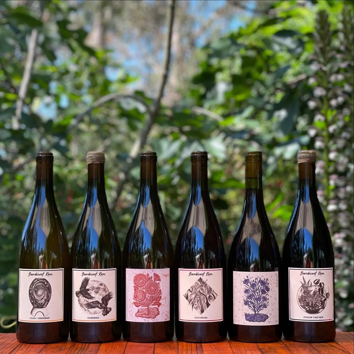 We&rsquo;ve curated a tastyyy 6 pack made up of some of our most thirst quenching cuv&eacute;es to help aid in keeping your whistle wet over summer. All designed to be served chilled. The pack includes the last of some of our sold-out wine and is the