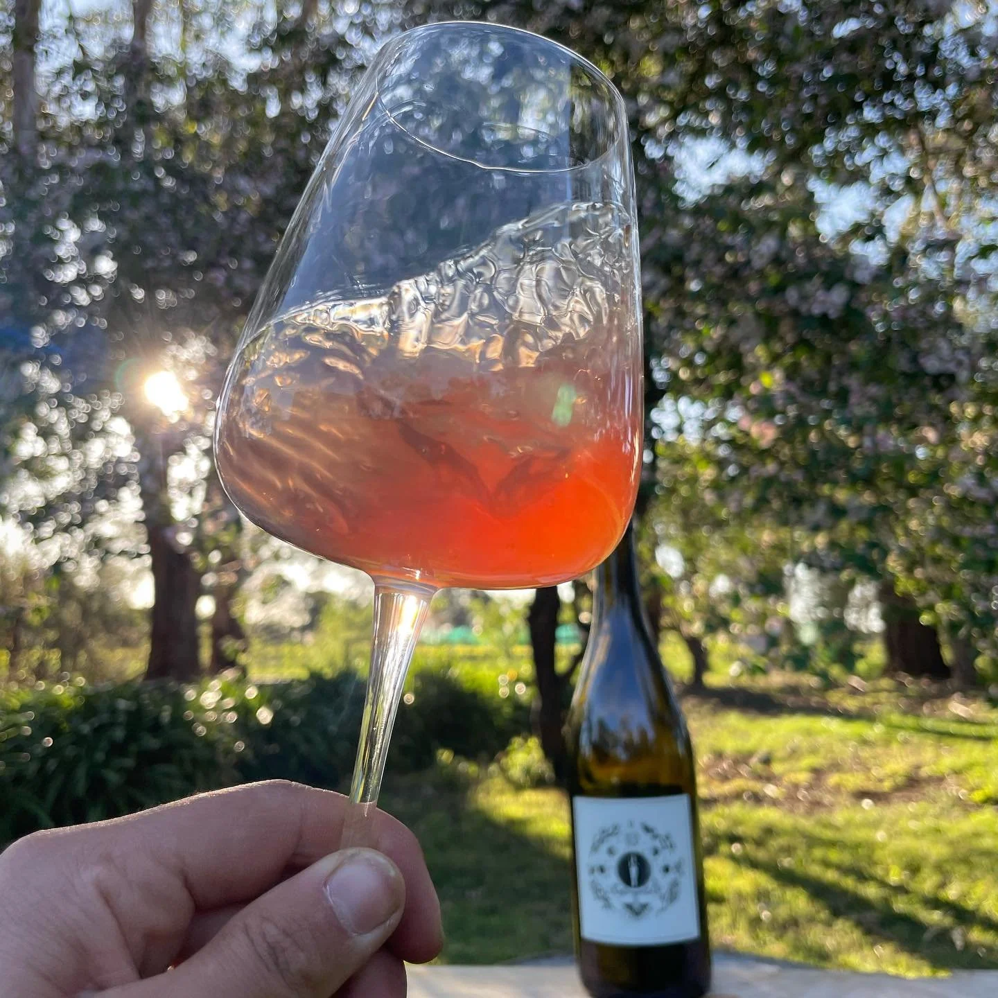 In 2023 we made a single barrel of Pinot noir rose. We destemmed the fruit and let it soak over night then gently basket pressed it in the morning. Handled very lightly, the juice being mostly free run went straight into barrel for fermentation. We b