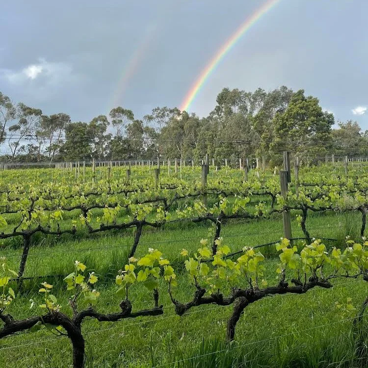 2023 Syrah - new release up on the webstore and trade emails incoming&hellip;

This is our final wine from the 2023 line up to be released. We find that our Syrah always benefits from that extra rest time in the cellar and it&rsquo;s now come out of 