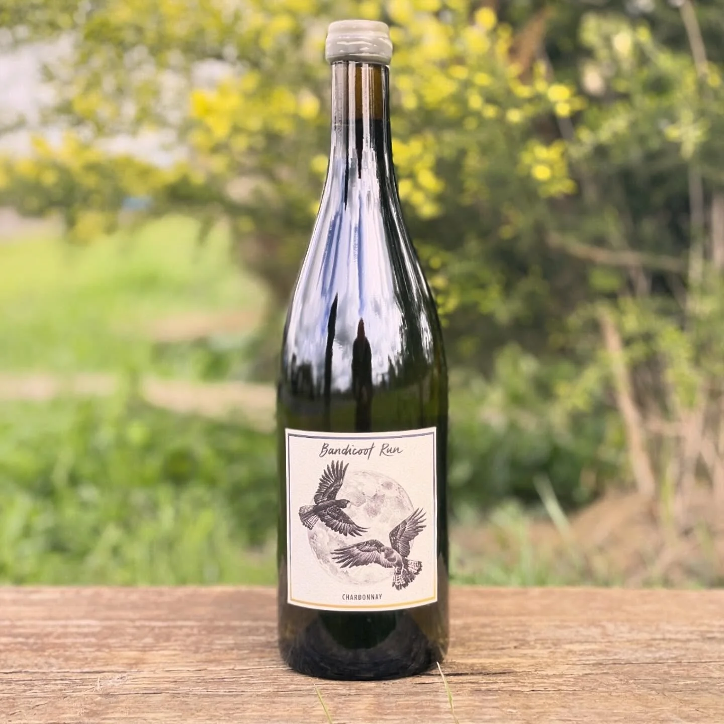 2024 CHARDONNAY

This time of year there&rsquo;s nothing more beautiful than the buds of our fruit trees (and vines) starting to emerge, the fresh start and infinite possibilities of a new season ahead. I love the sweet smell of the new shoots from o