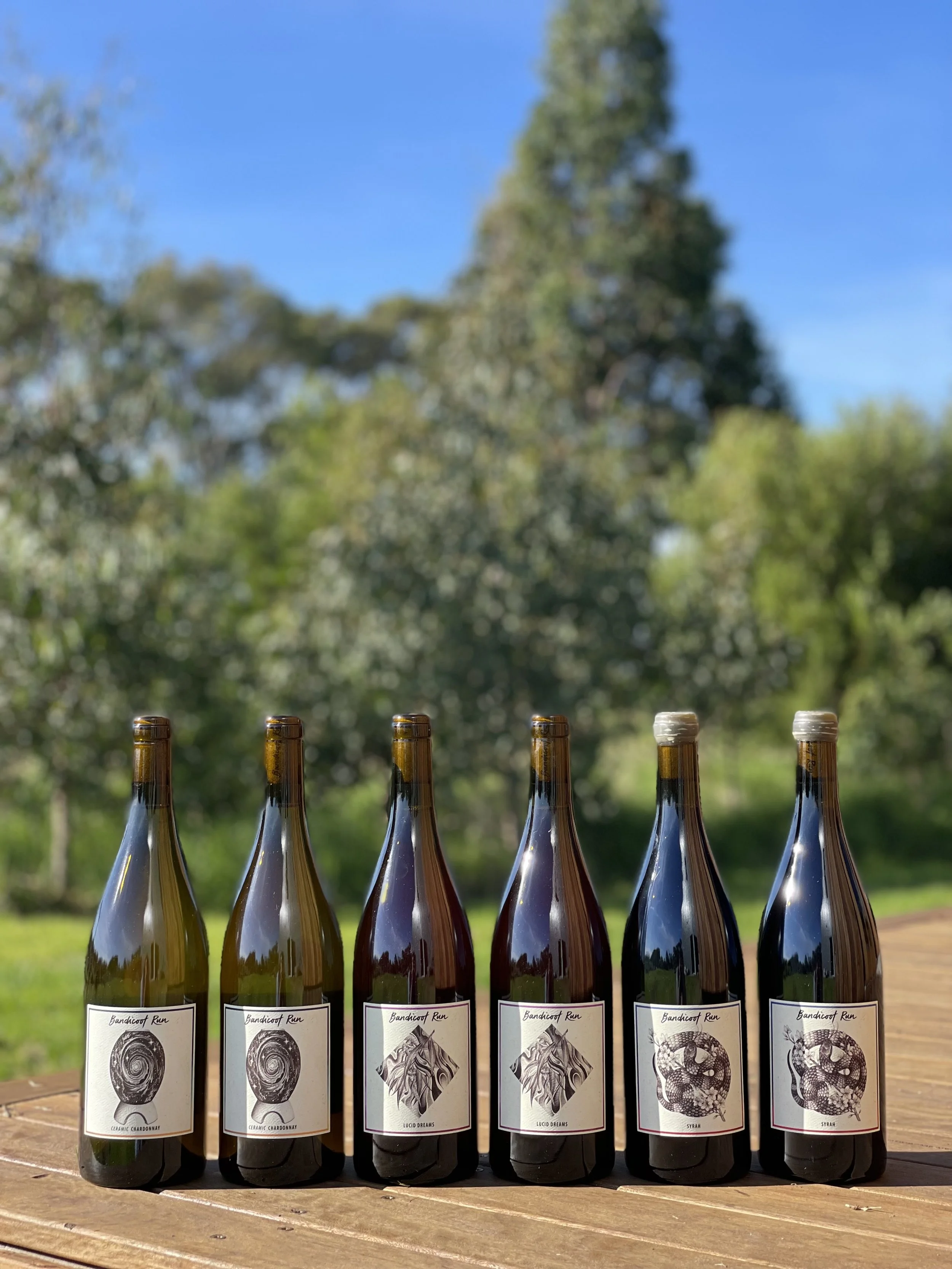 Autumn 2026 pack.jpg