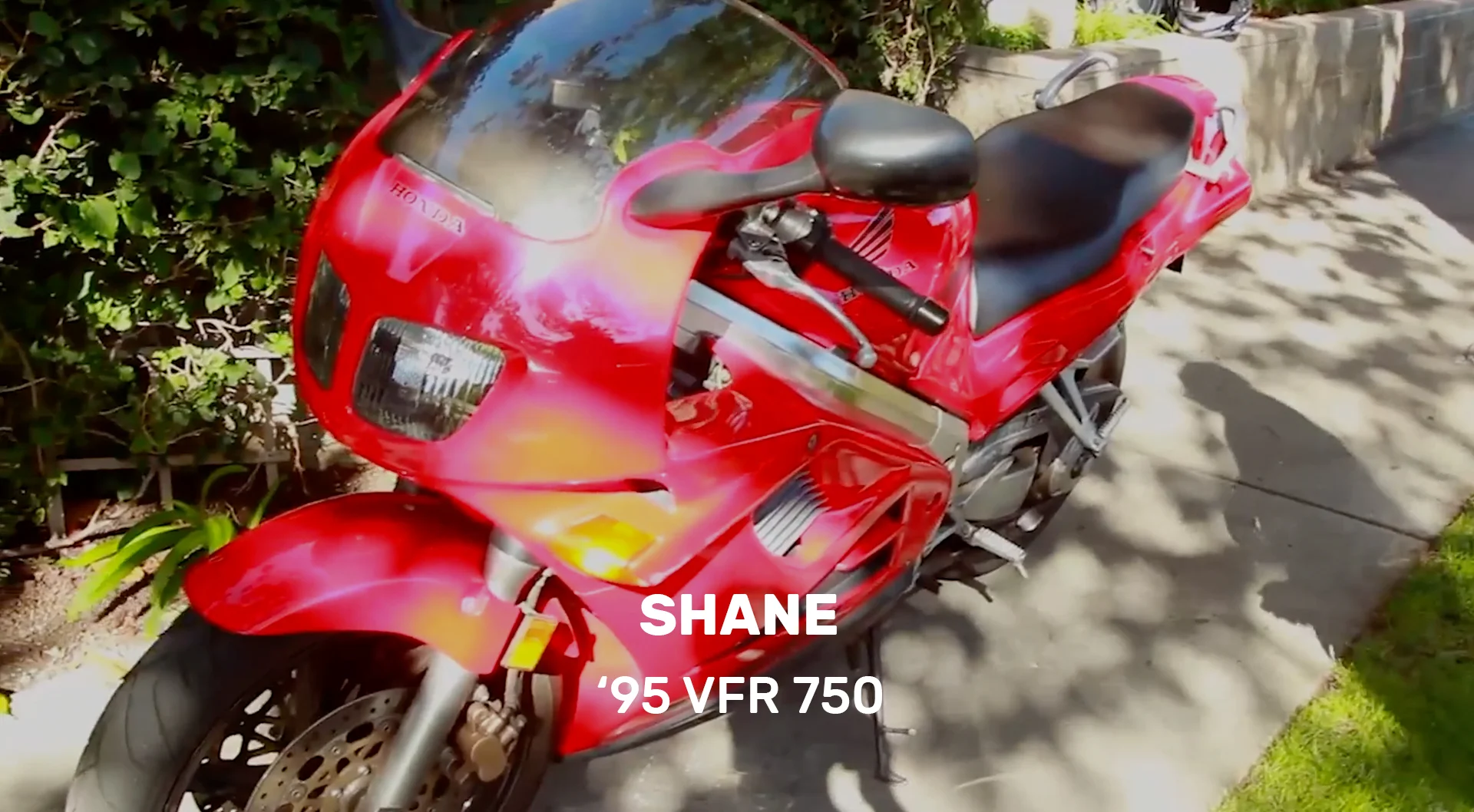 SHANE.jpg