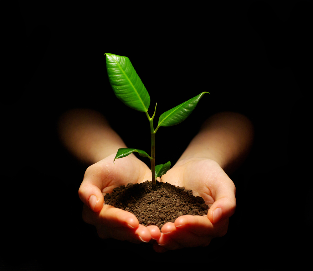 Saving the Environment