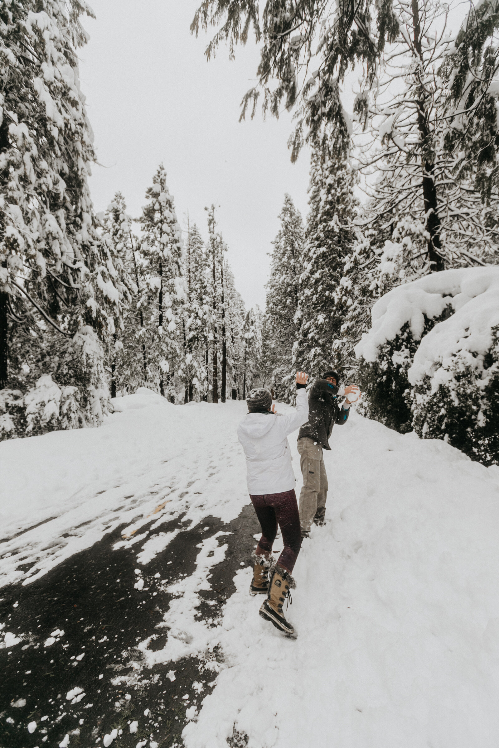 www.rachelsmak.com-yosemite_national_park_winter-48.jpg