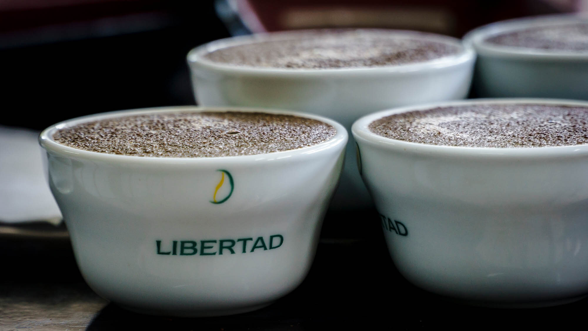 Coopelibertad - Costa Rica