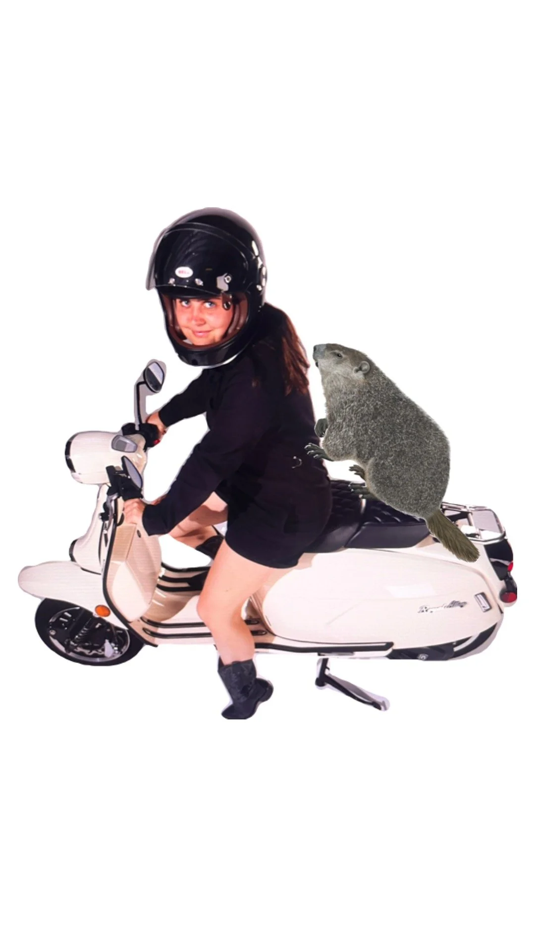 another year, another groundhog day card