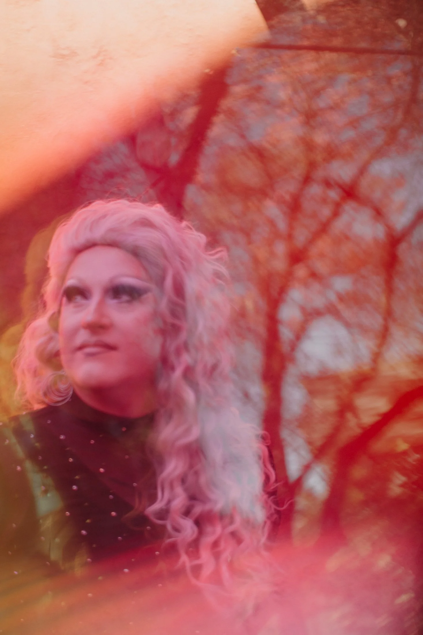 Weeno Photography 2024 (49 of 343).jpg