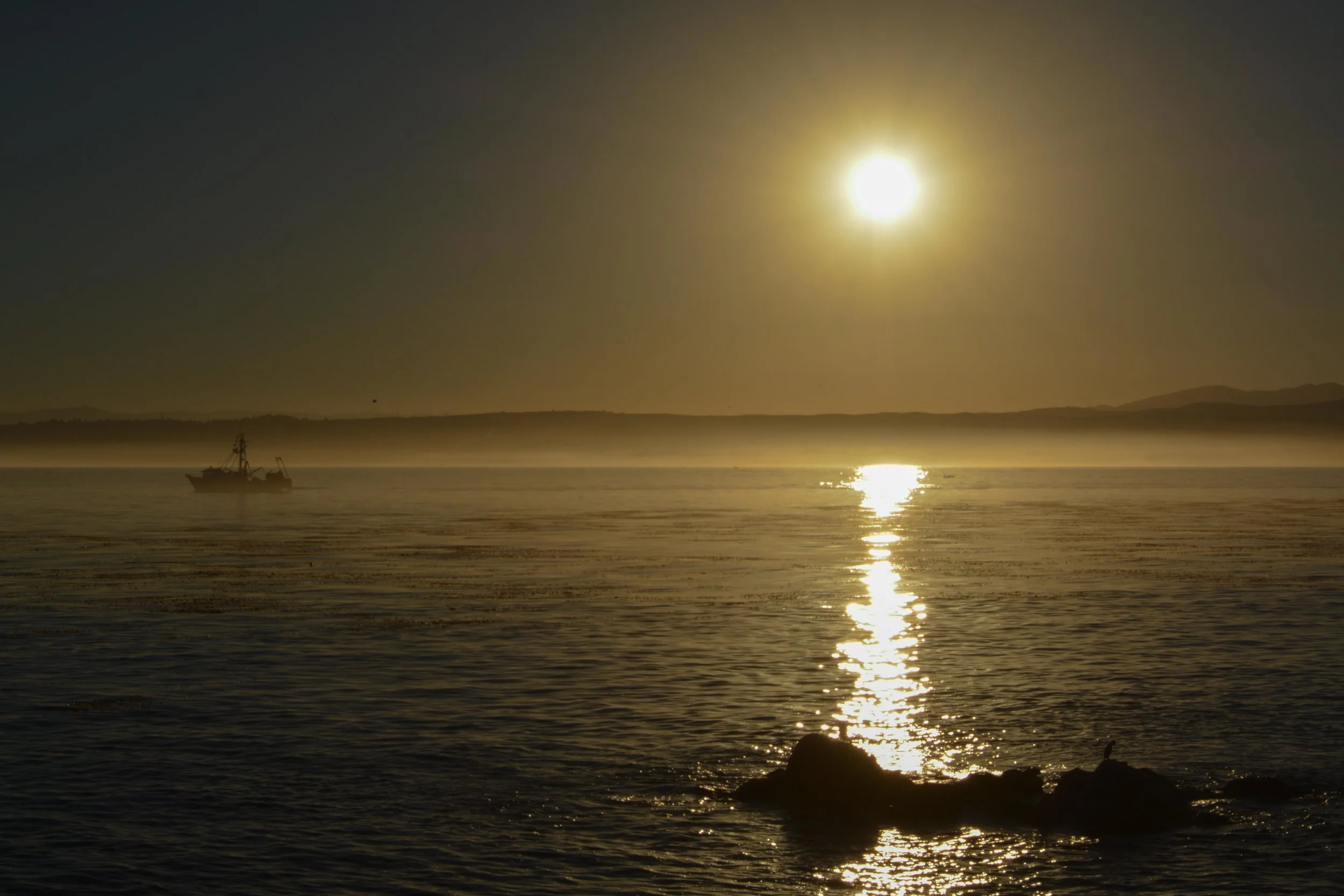 DSC_0133.jpg