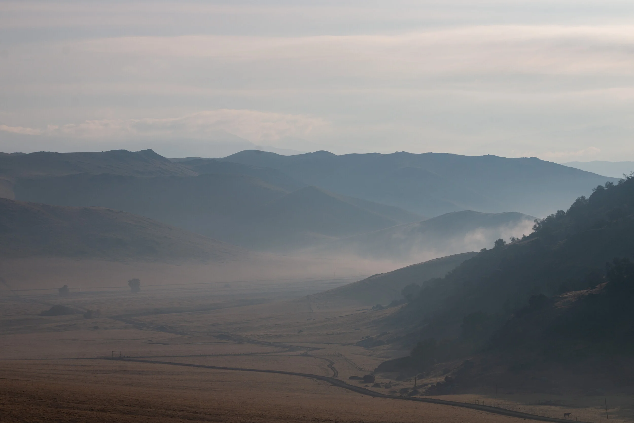 78E7B30C-2EE7-476B-9B5A-C4120150E76B.jpeg