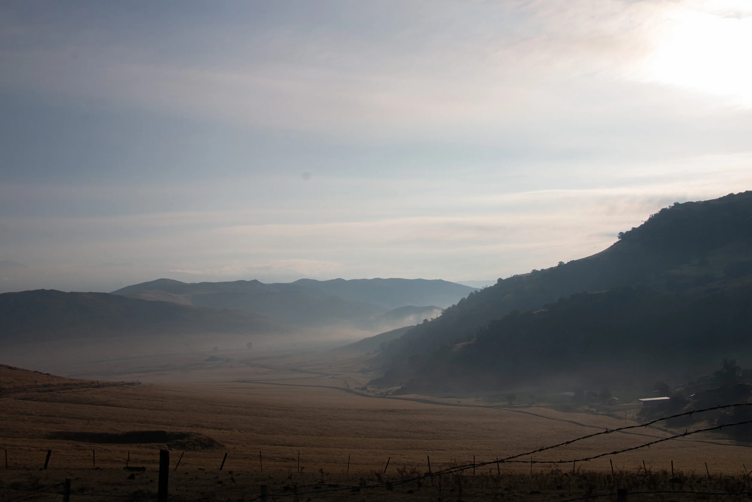 F7C9D70C-5DA2-490D-B45E-2F6654EC842B.jpeg