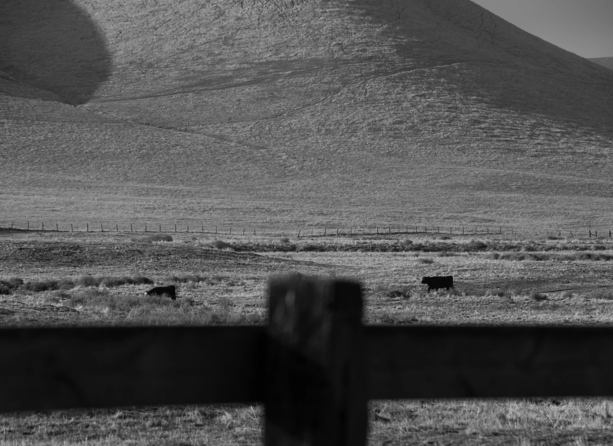 FBAF1202-052C-412E-A9A0-1D0034F087EB.jpeg