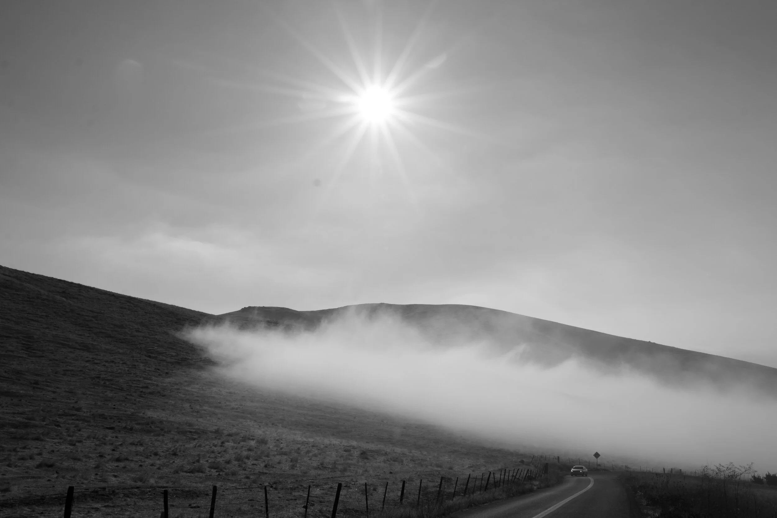 9A28A7AF-E389-4724-B843-3ADE99A57446.jpeg