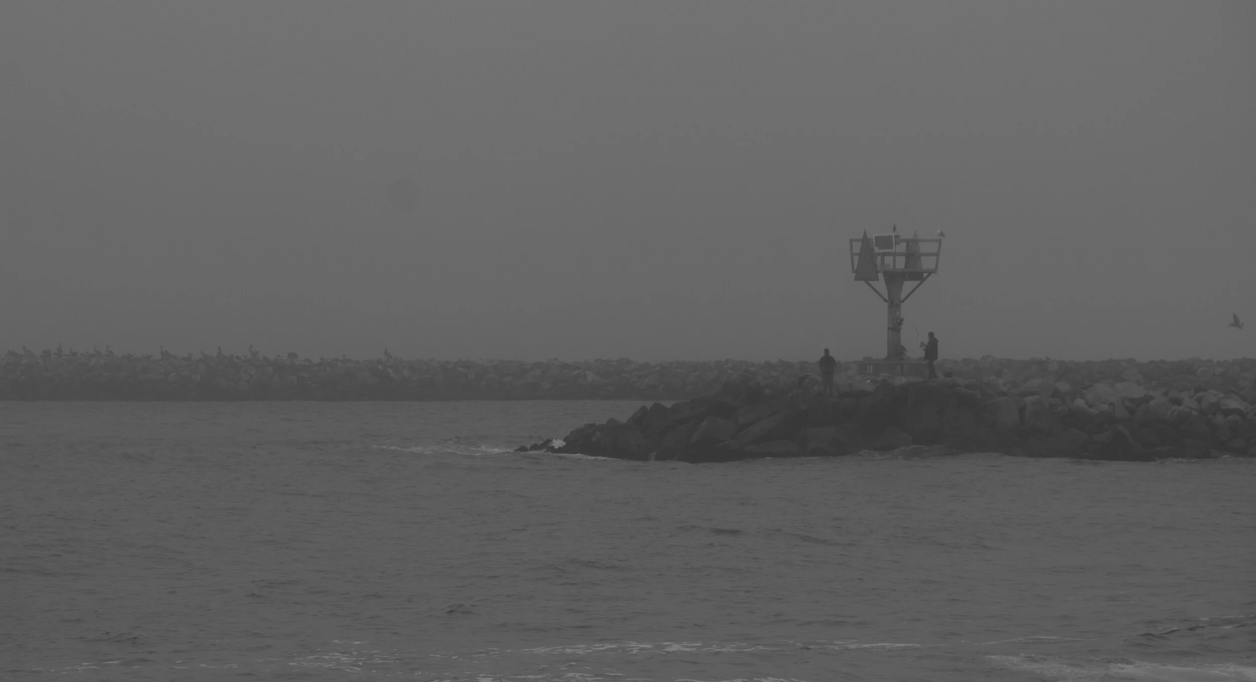 78487559-B062-48B6-8D7F-9E32CAA00859.jpeg