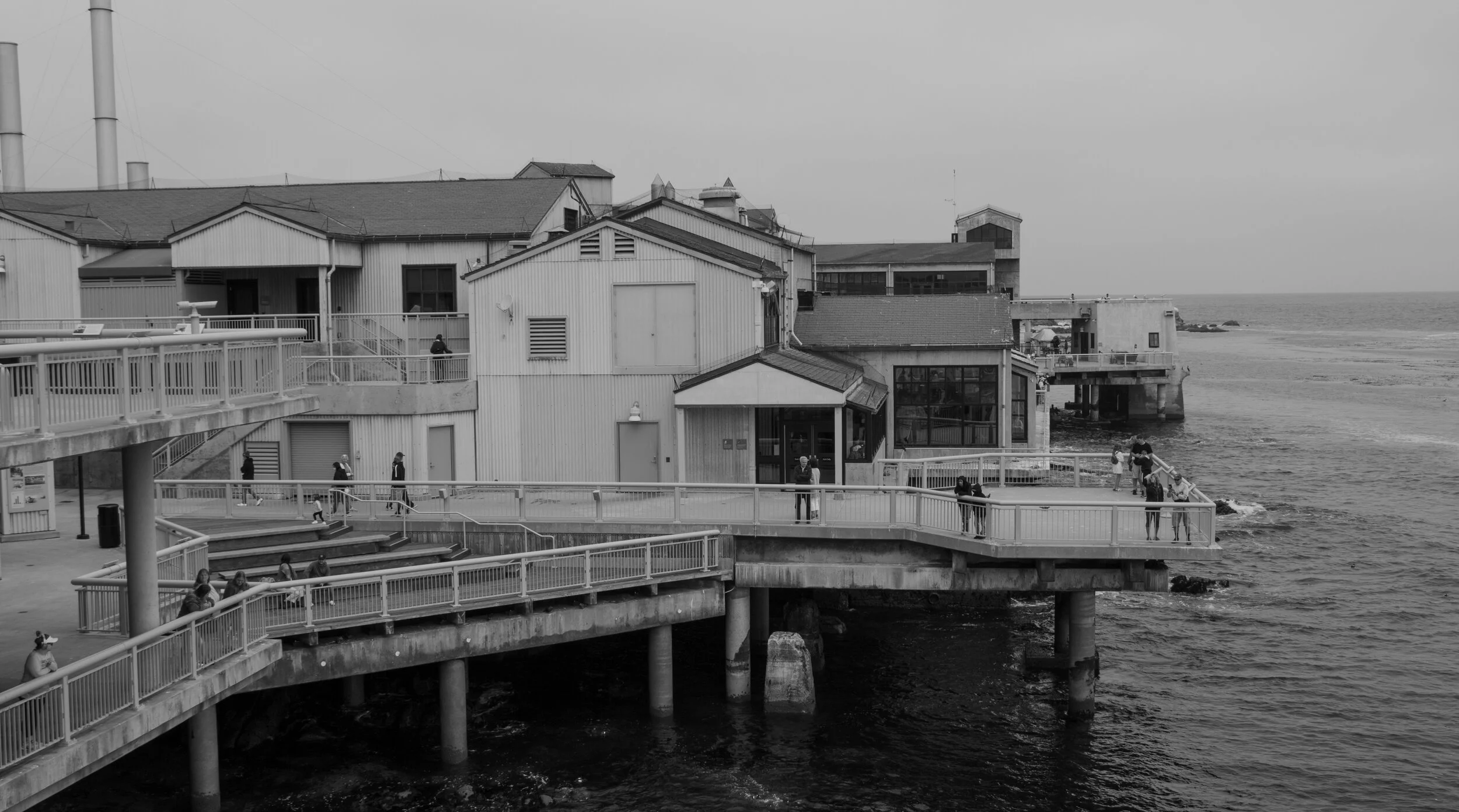 15F45B89-C9EF-4647-8678-C46861D8F5B1.jpeg