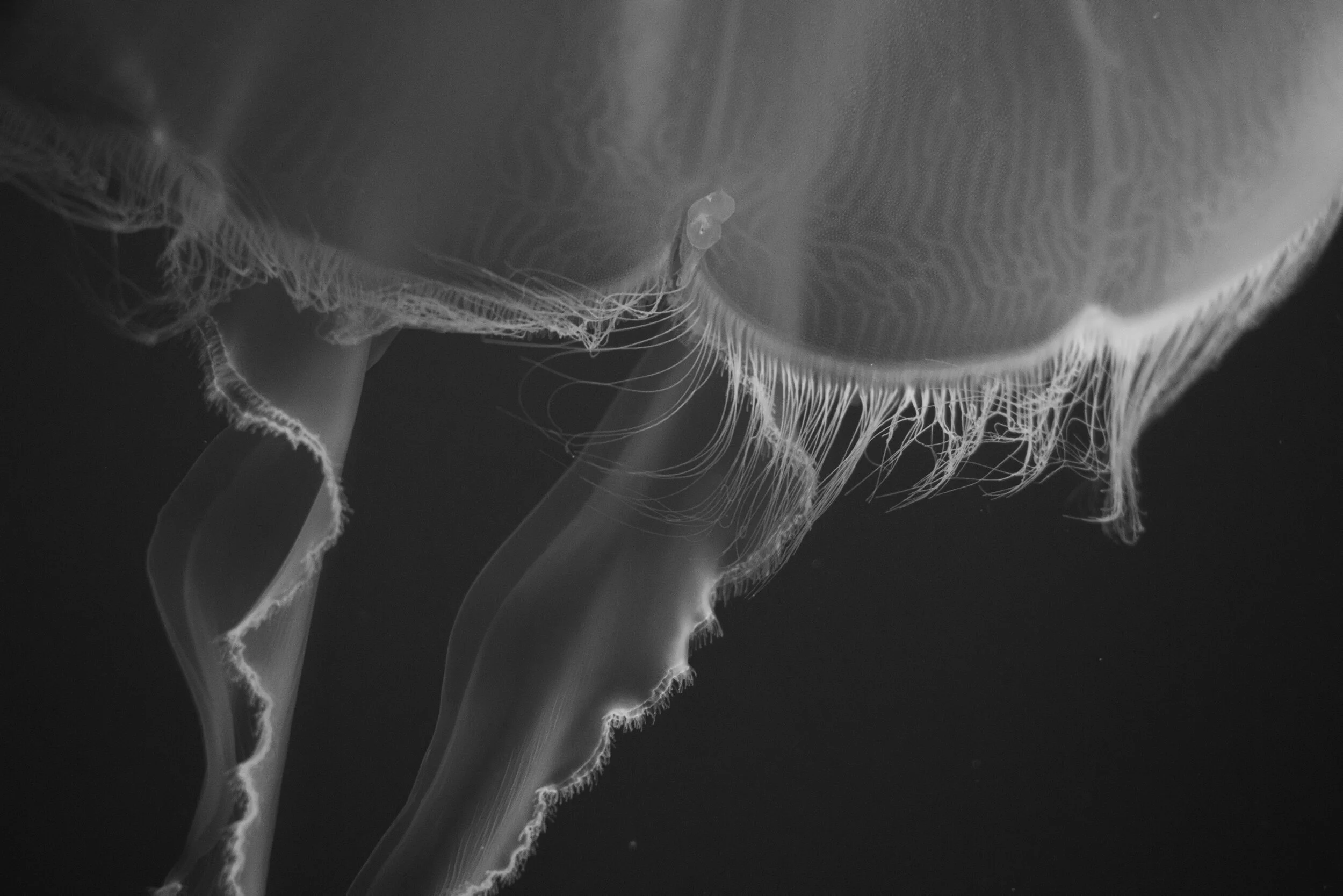 F2D57085-C461-4411-9605-5B1CC483883B.jpeg