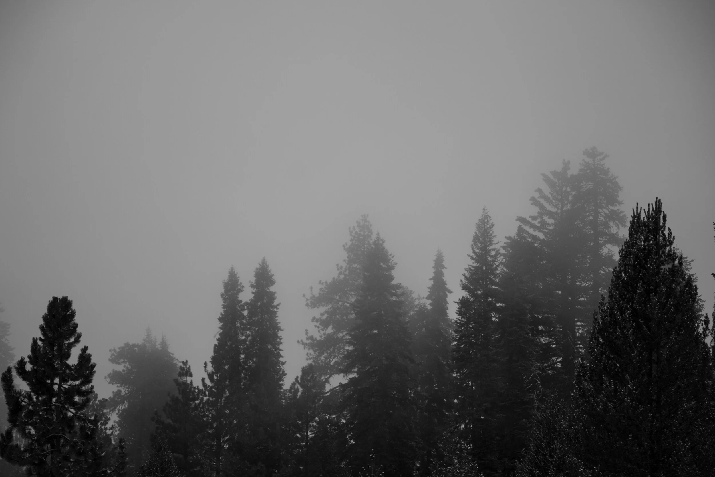 B281F20C-F8F3-4375-979A-C0BD8B842ED7.jpeg