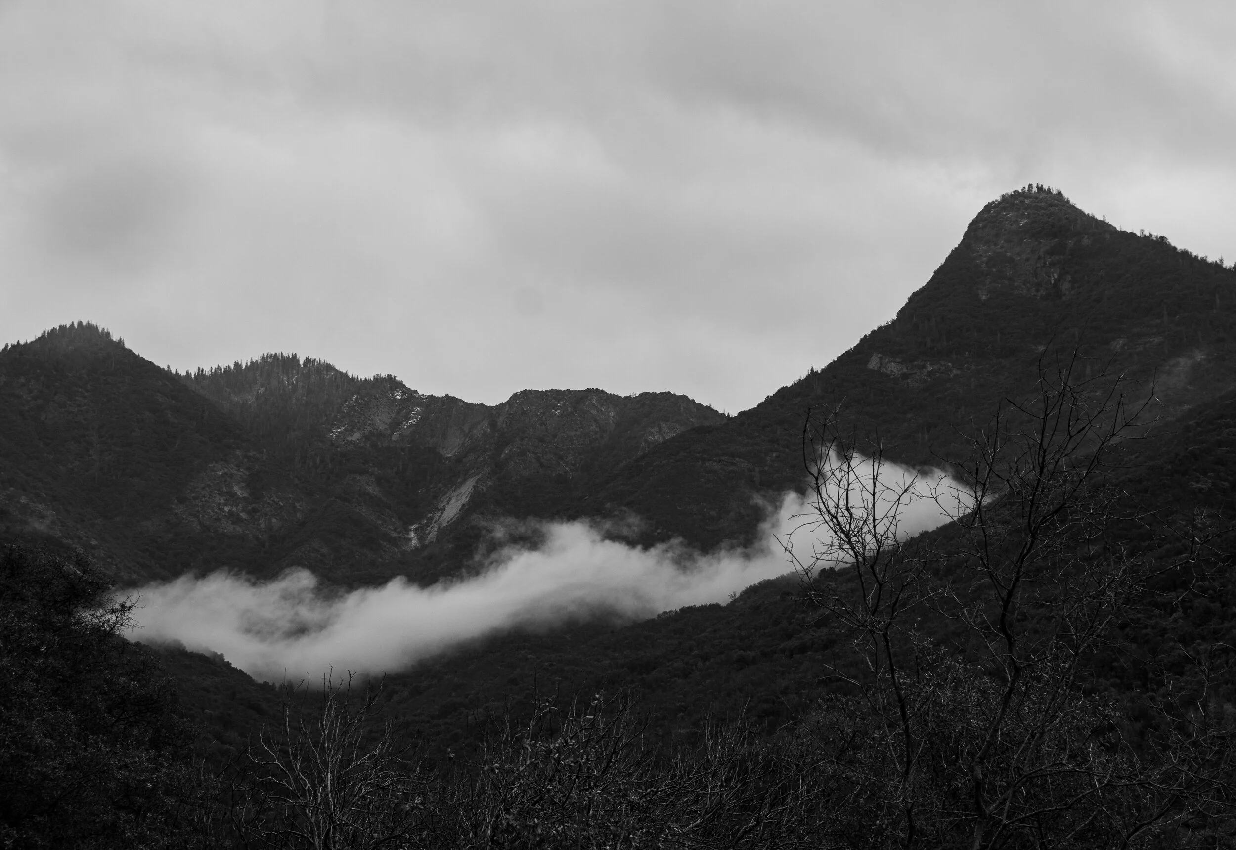 D6DAFB17-9C08-454C-8B02-7622C06274A8.jpeg
