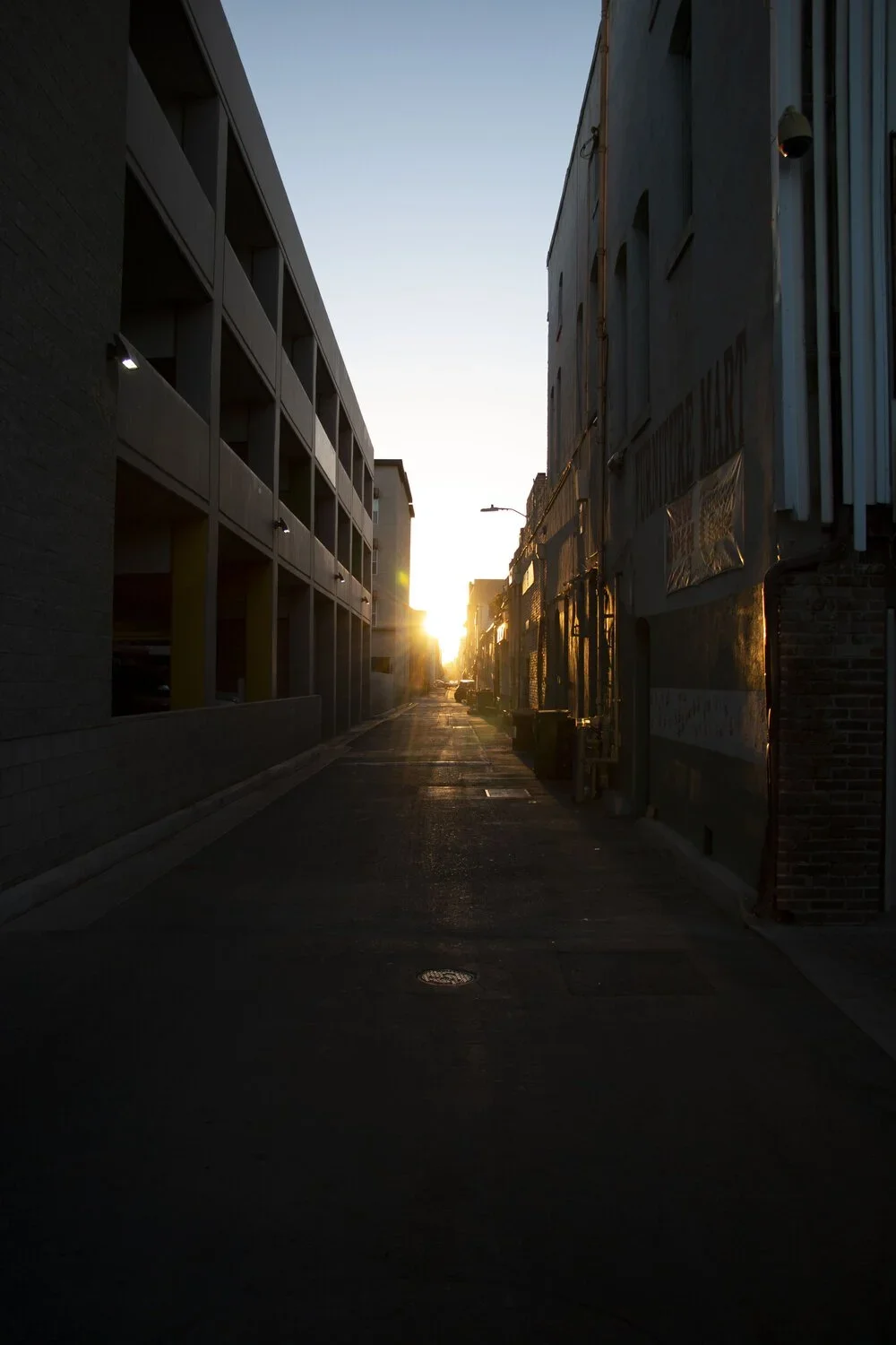 IMG_5667.jpg.webp