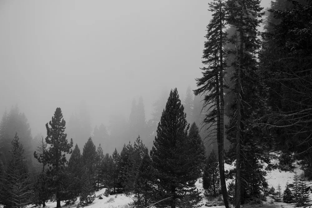IMG_3501.JPG.webp