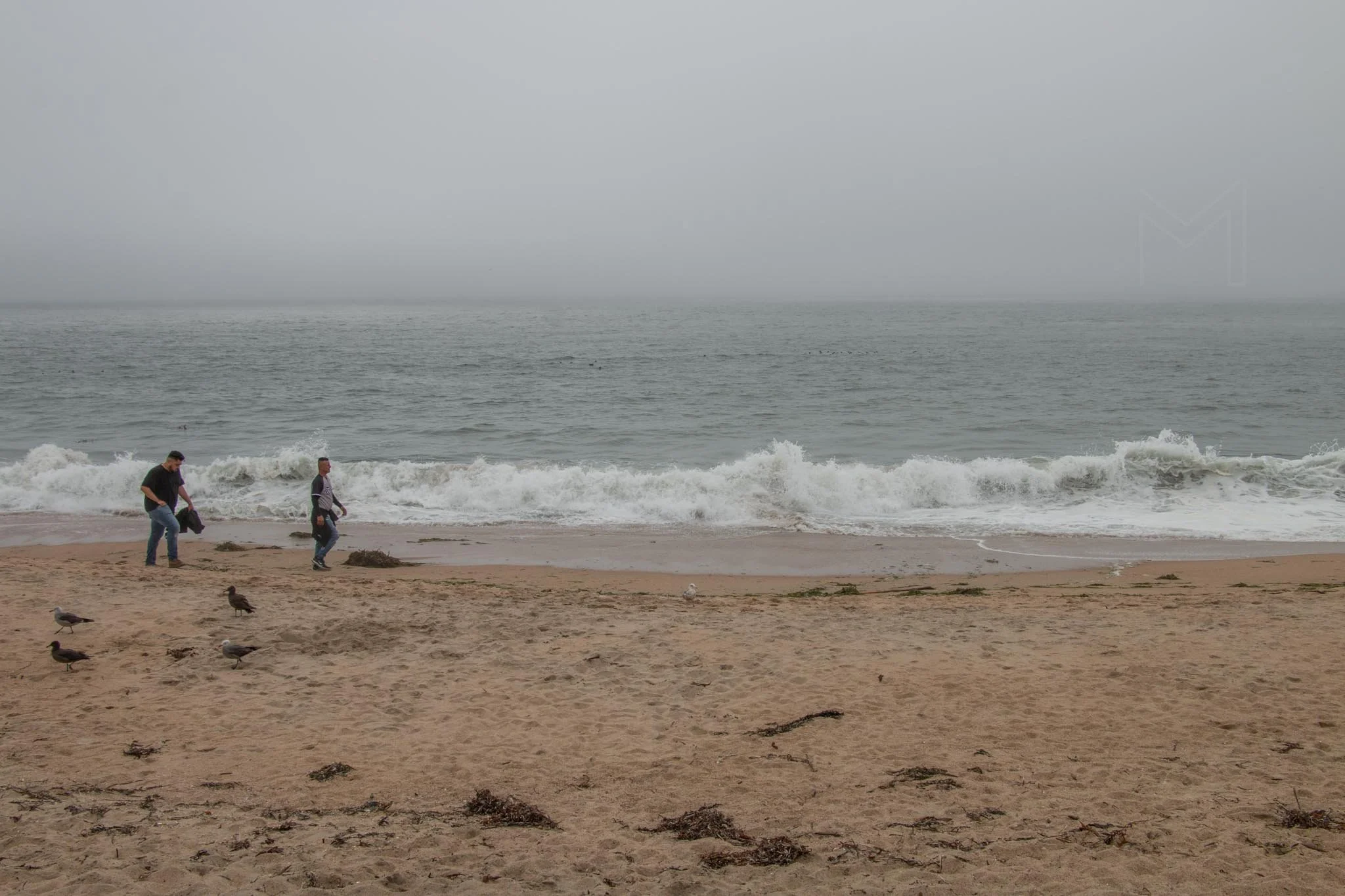 MG beach-47.jpg